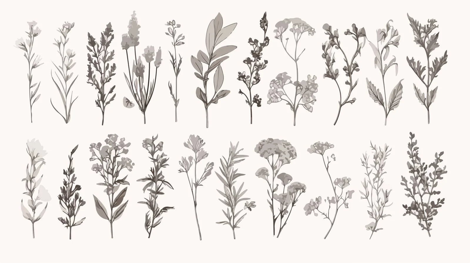 Exquisite Hand-Drawn Herbal Botanical Collection — free download from Dotvec