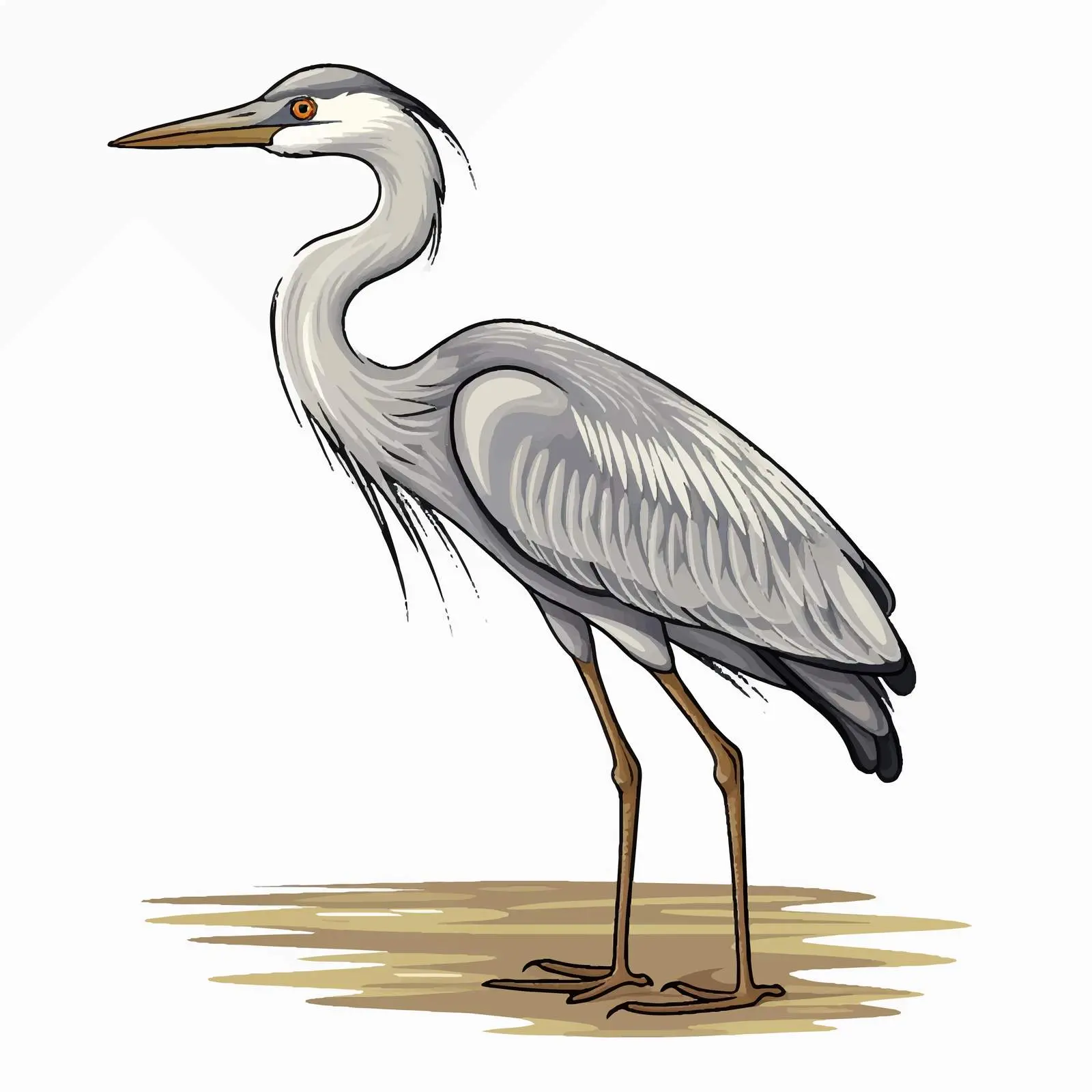 Heron Cartoon Sketch Vector Illustration — free download from Dotvec