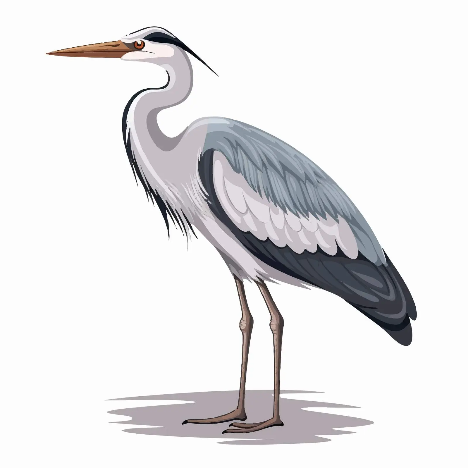 Cartoon Heron Vector Illustration — free download from Dotvec