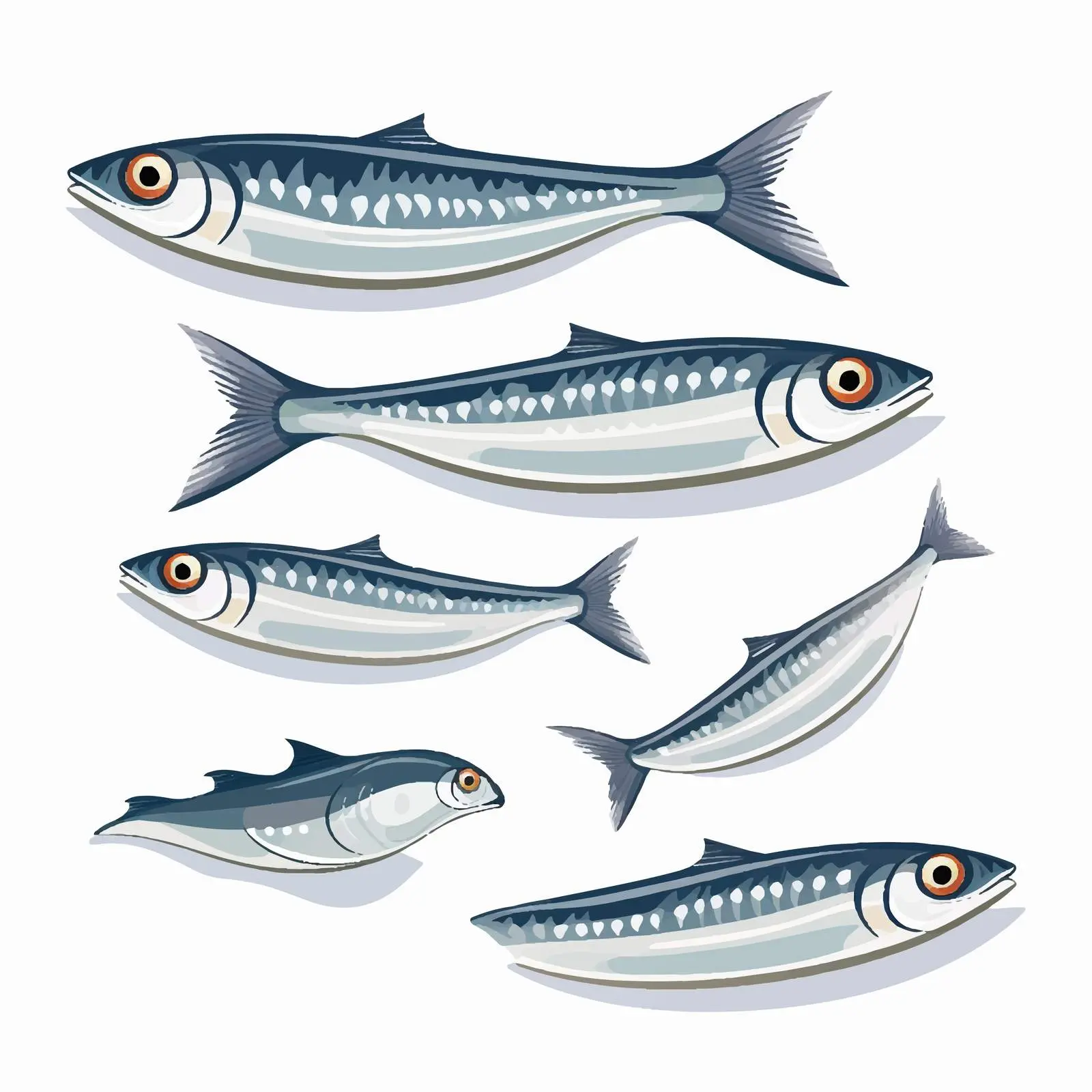 Herring Fish Line Vector Illustration on White Background – free herring image from Dotvec