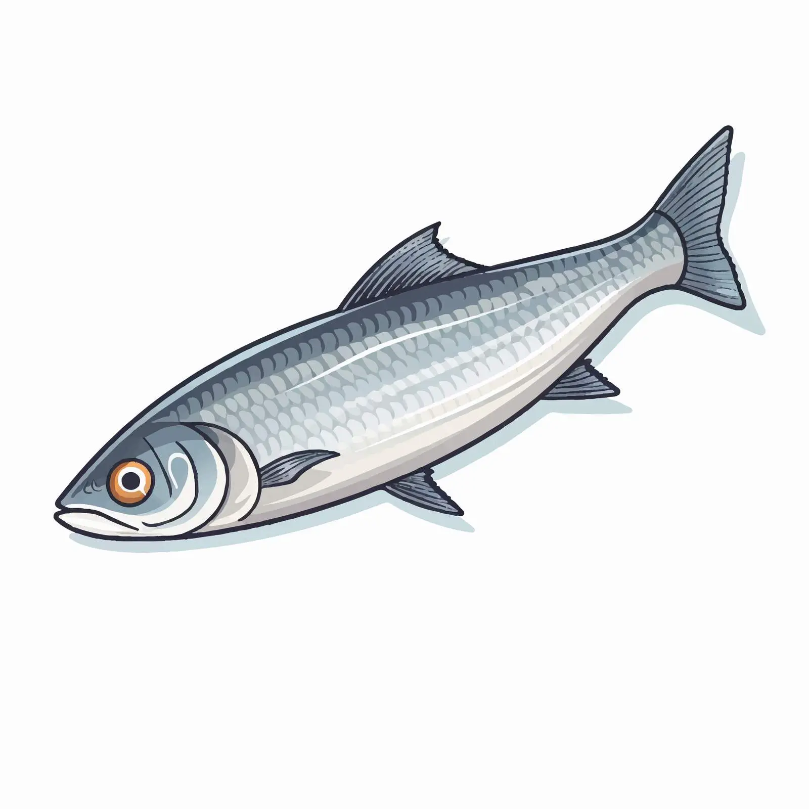Line Art Herring Fish Vector Illustration – free herring image from Dotvec