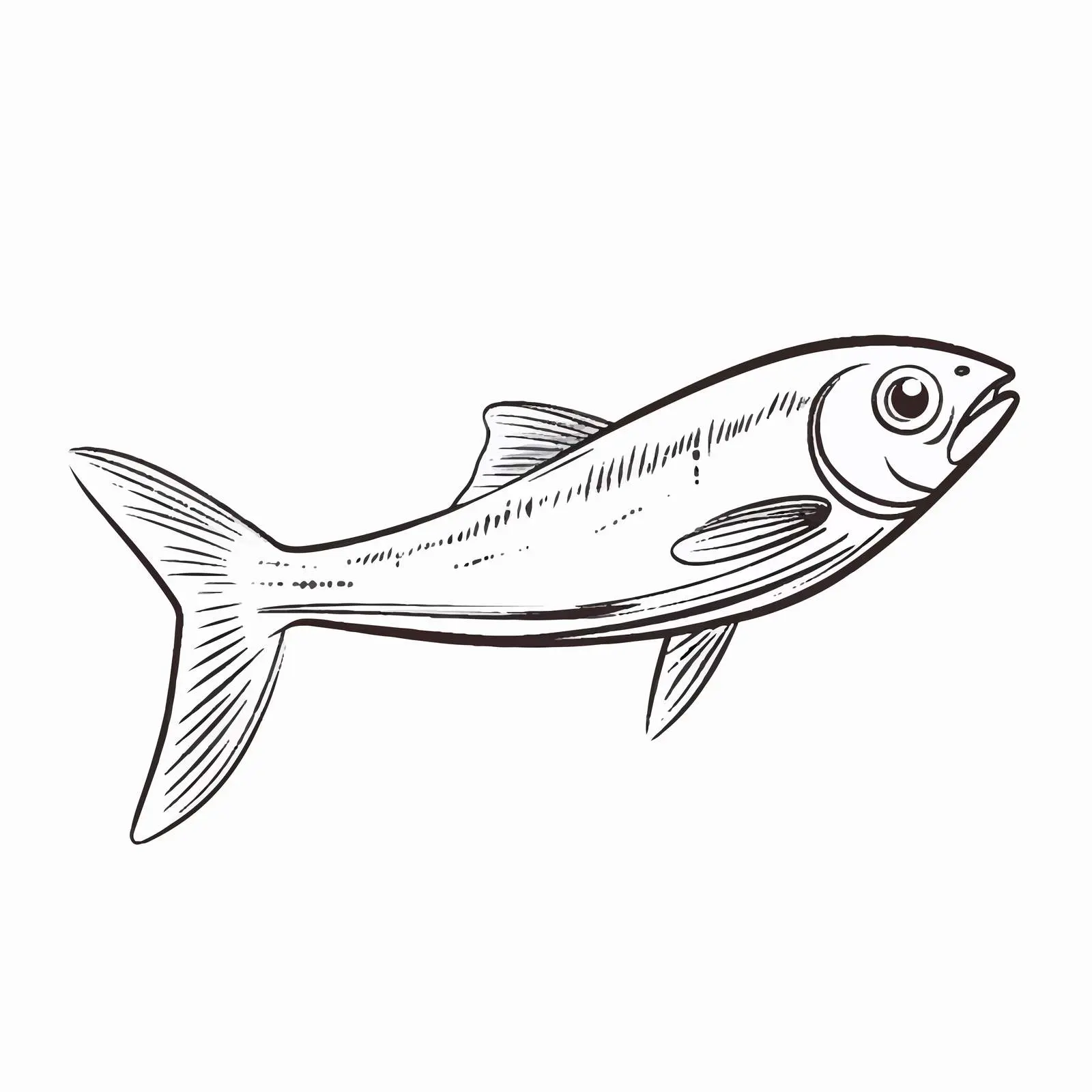 Herring Fish Outline Vector Illustration – free herring image from Dotvec