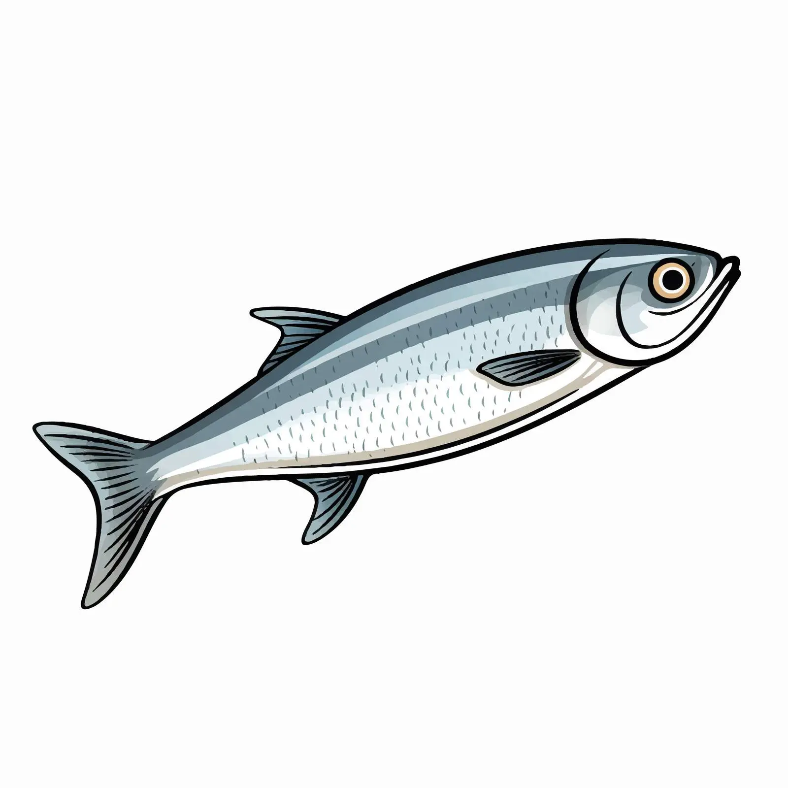 Herring Fish Outline Vector Illustration – free herring image from Dotvec