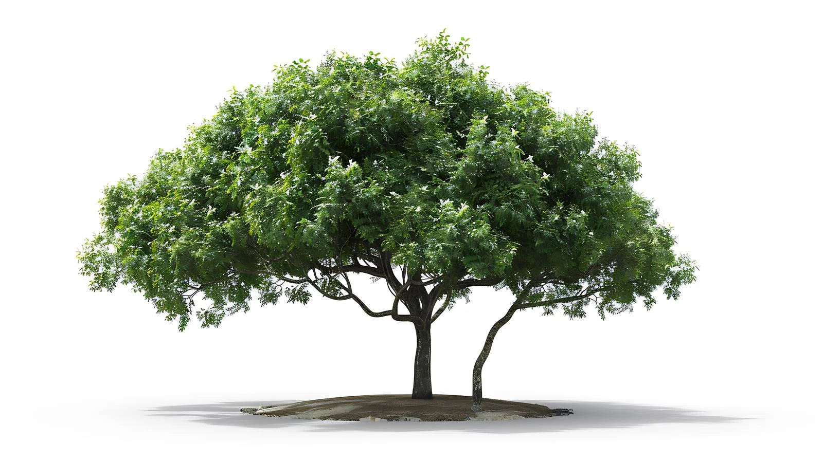 Product on White Background with Shadows — free download from Dotvec