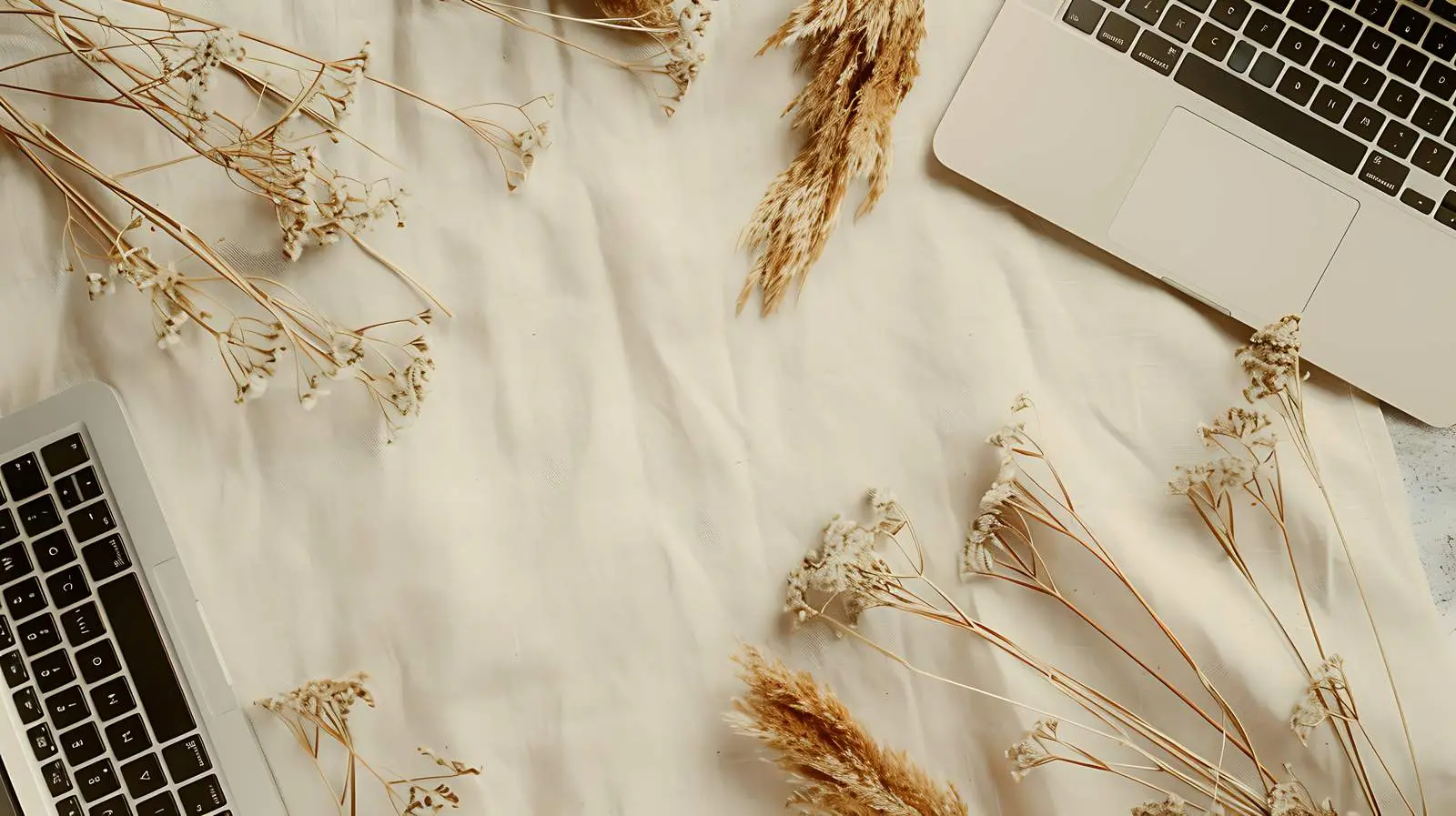 Home Office Desk Workspace with Laptop and Foliage — free download from Dotvec