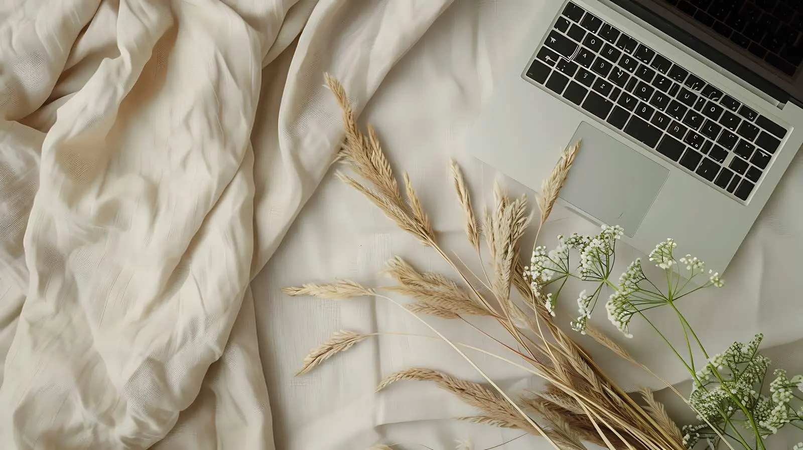 Modern Home Office Desk with Laptop and Foliage — free download from Dotvec