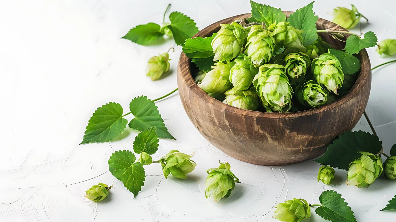 Fresh Green Hops in Wooden Bowl — free download from Dotvec