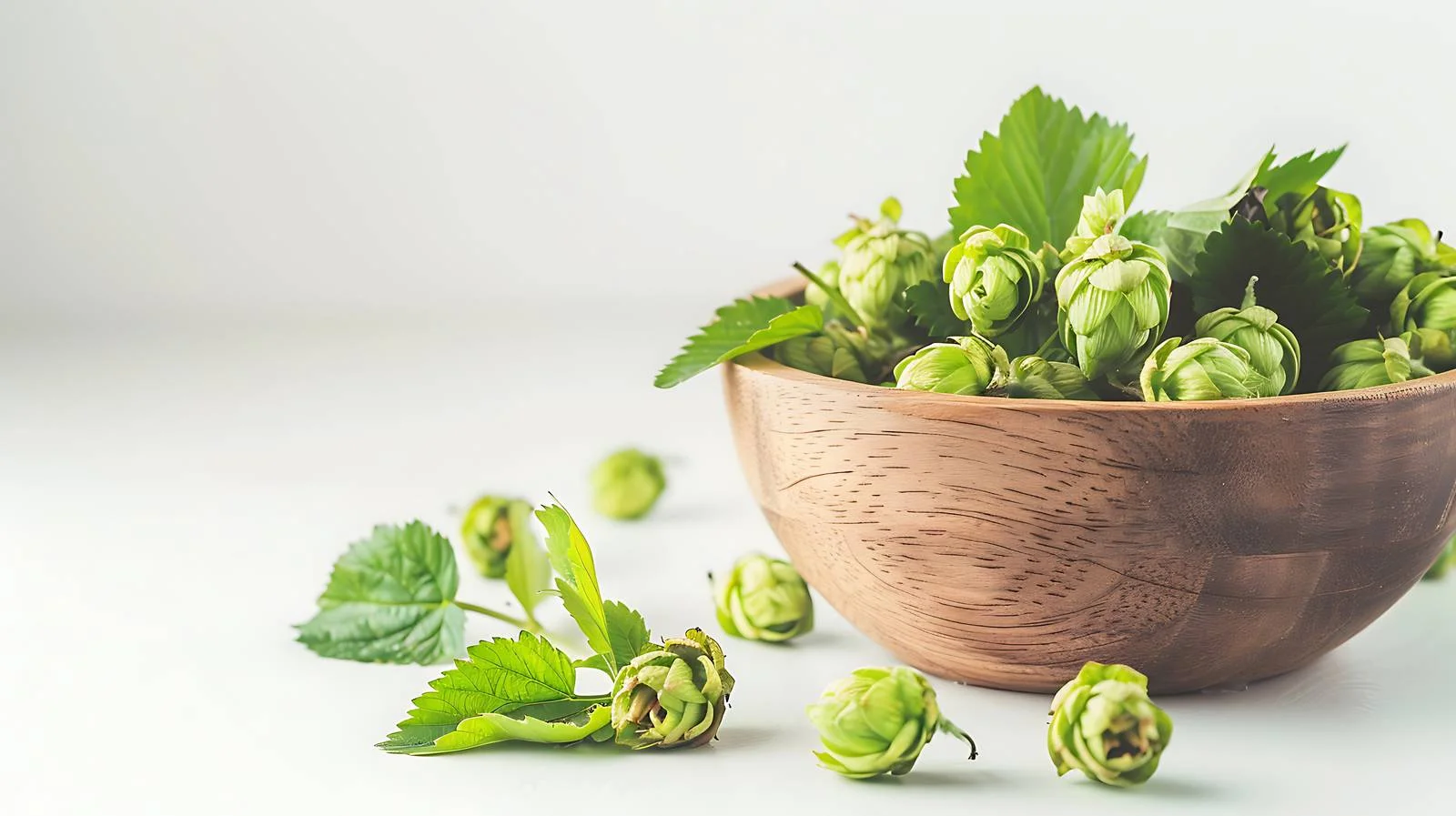 Fresh green hops in wooden bowl — free download from Dotvec