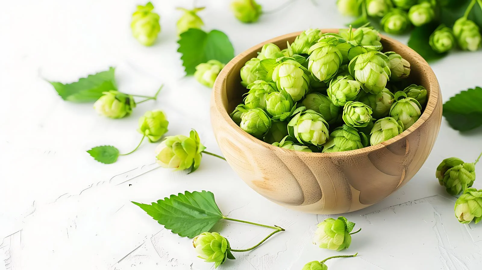 Whole green hops in wooden bowl — free download from Dotvec