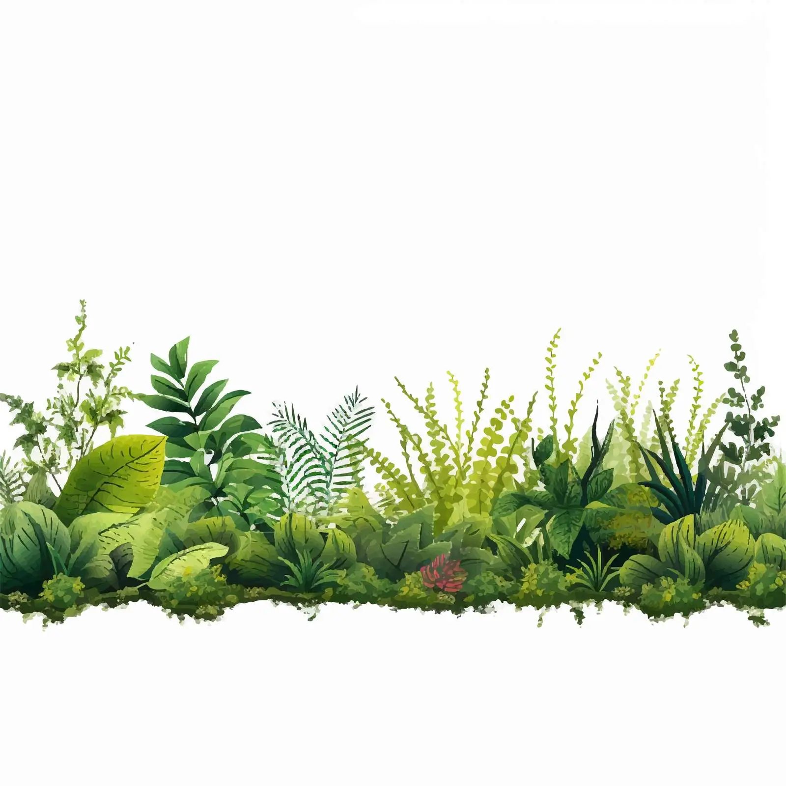 Elegant Horizontal Background with Ferns and Herbs — free download from Dotvec