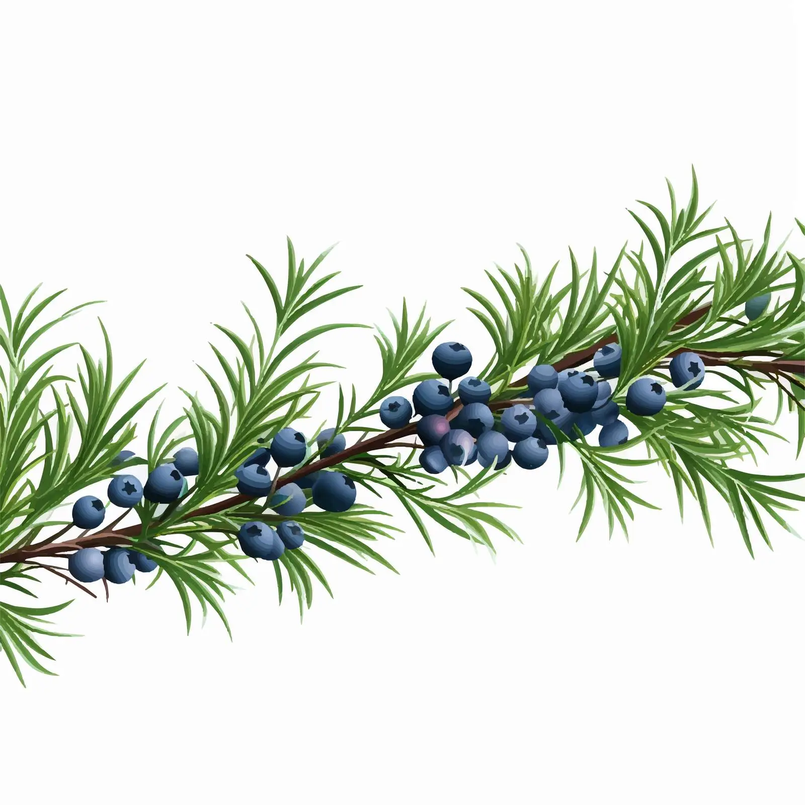 Juniper Needle Background Vector Design — free download from Dotvec