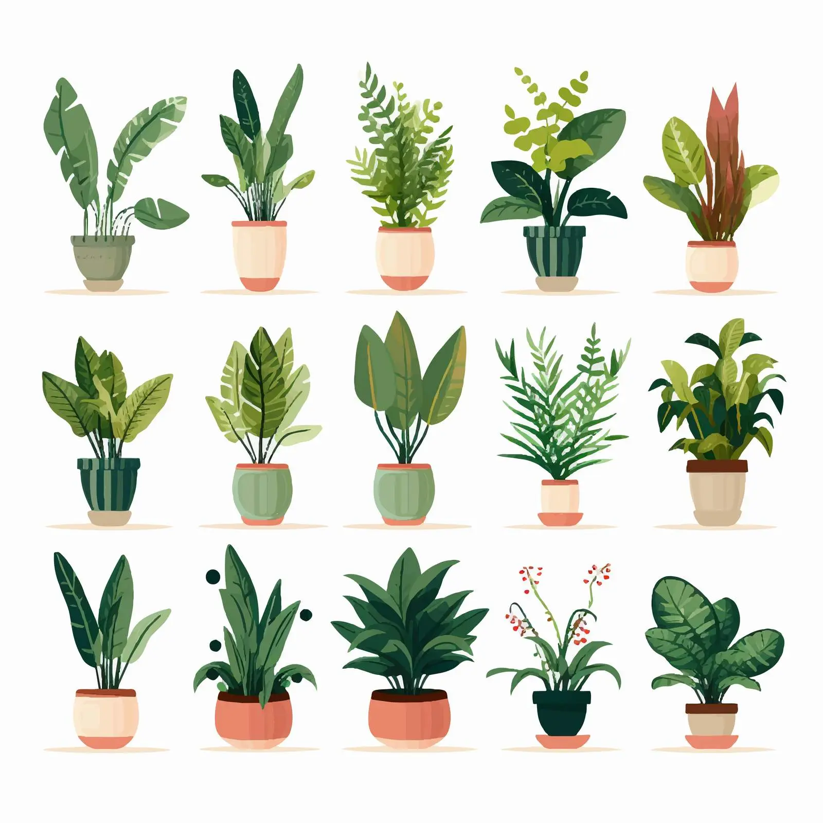Indoor Houseplants Growing in Decorative Pots — free download from Dotvec