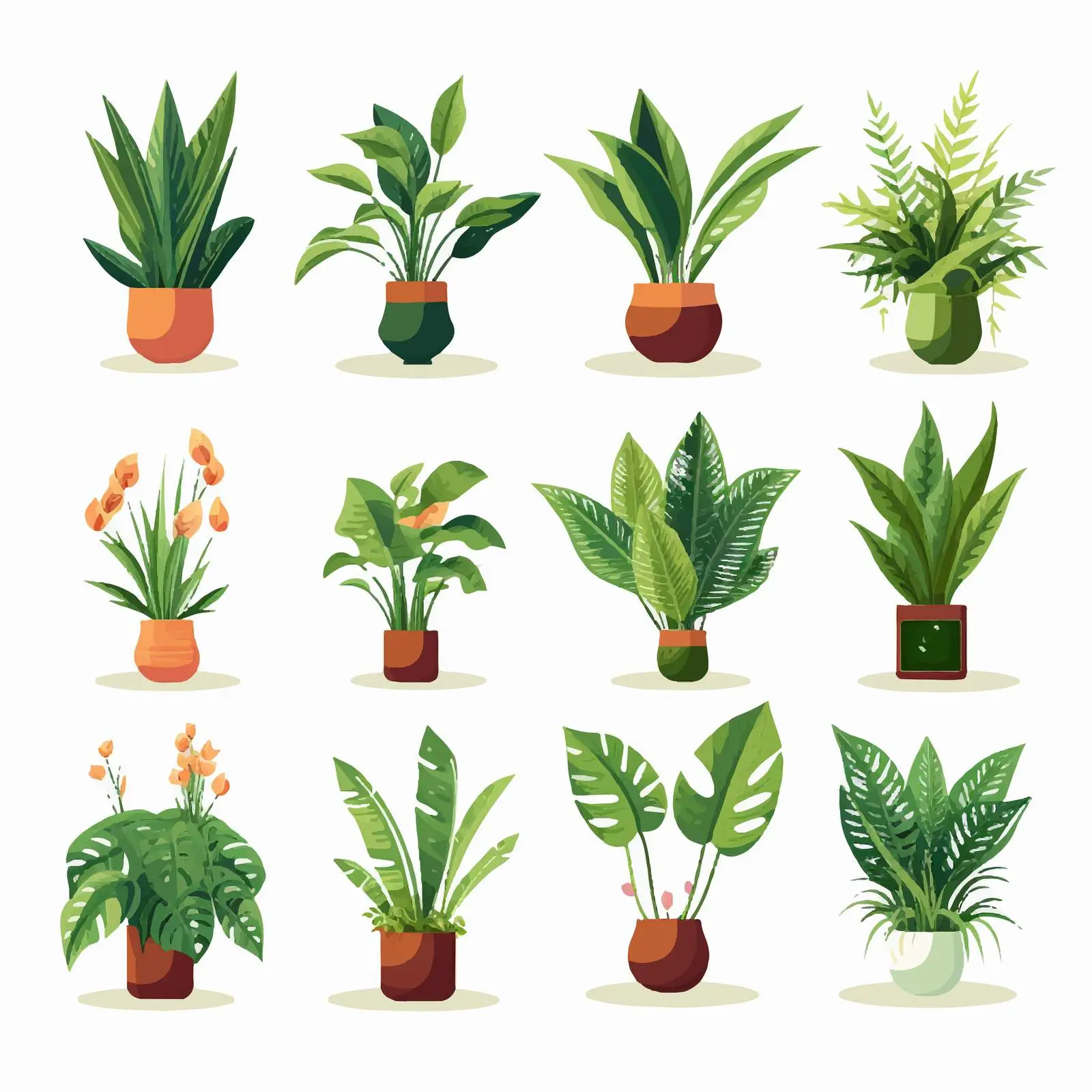 Indoor Houseplants Growing in Decorative Pots — free download from Dotvec