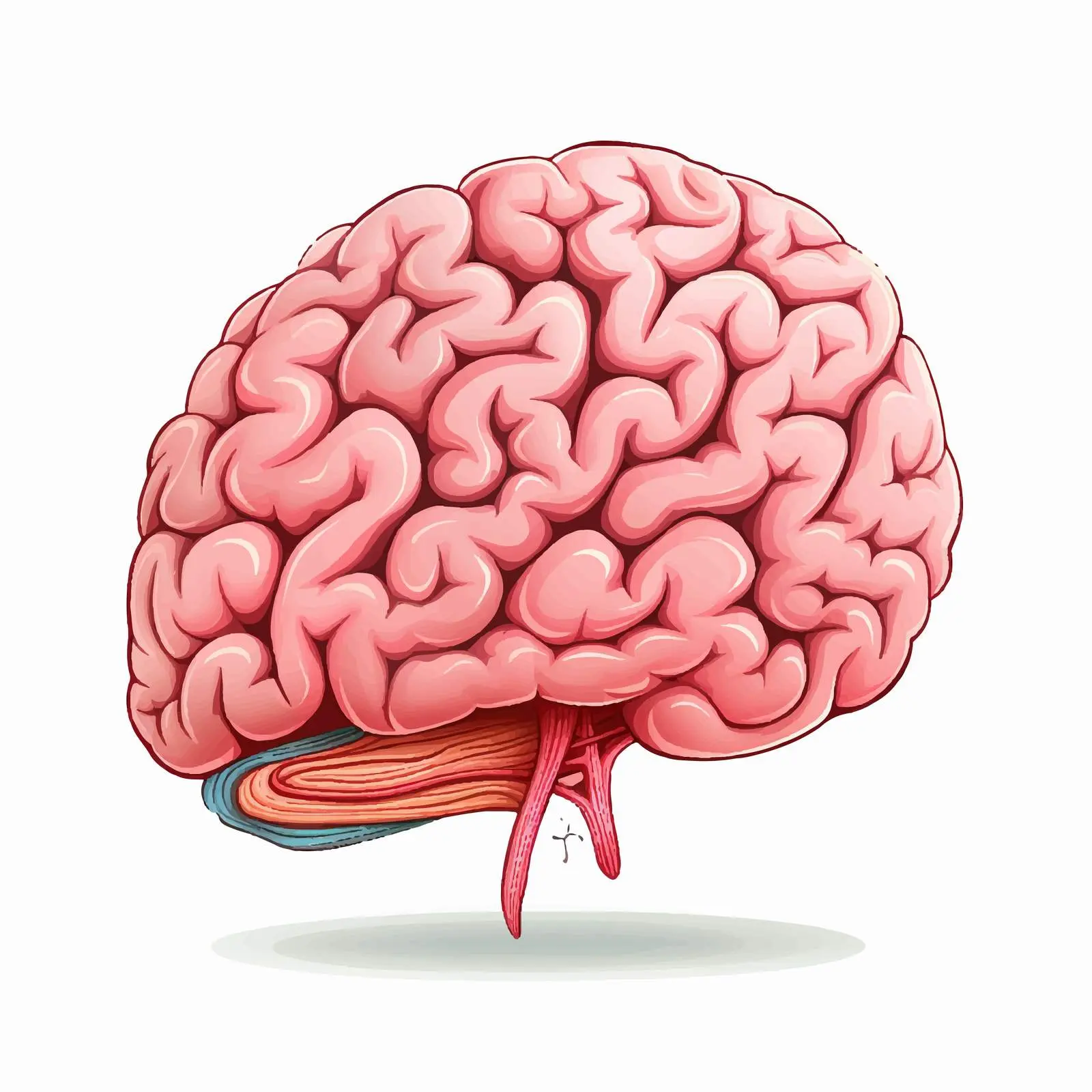 Side Illustration of Human Brain Vector — free download from Dotvec