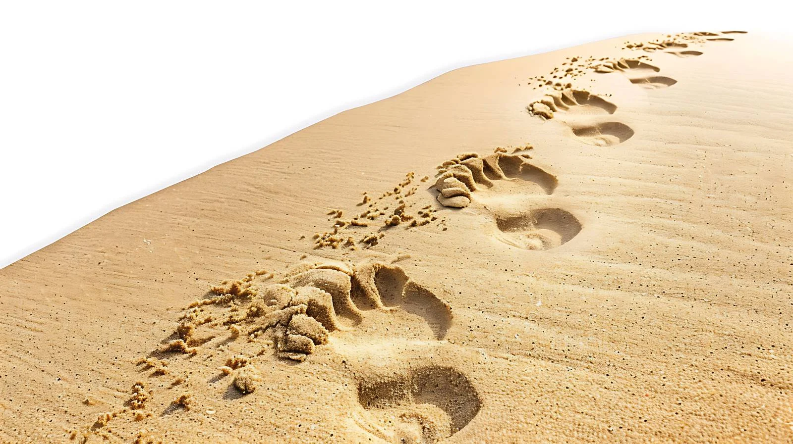Tranquil Human Footprints on Sunny Beach — free download from Dotvec