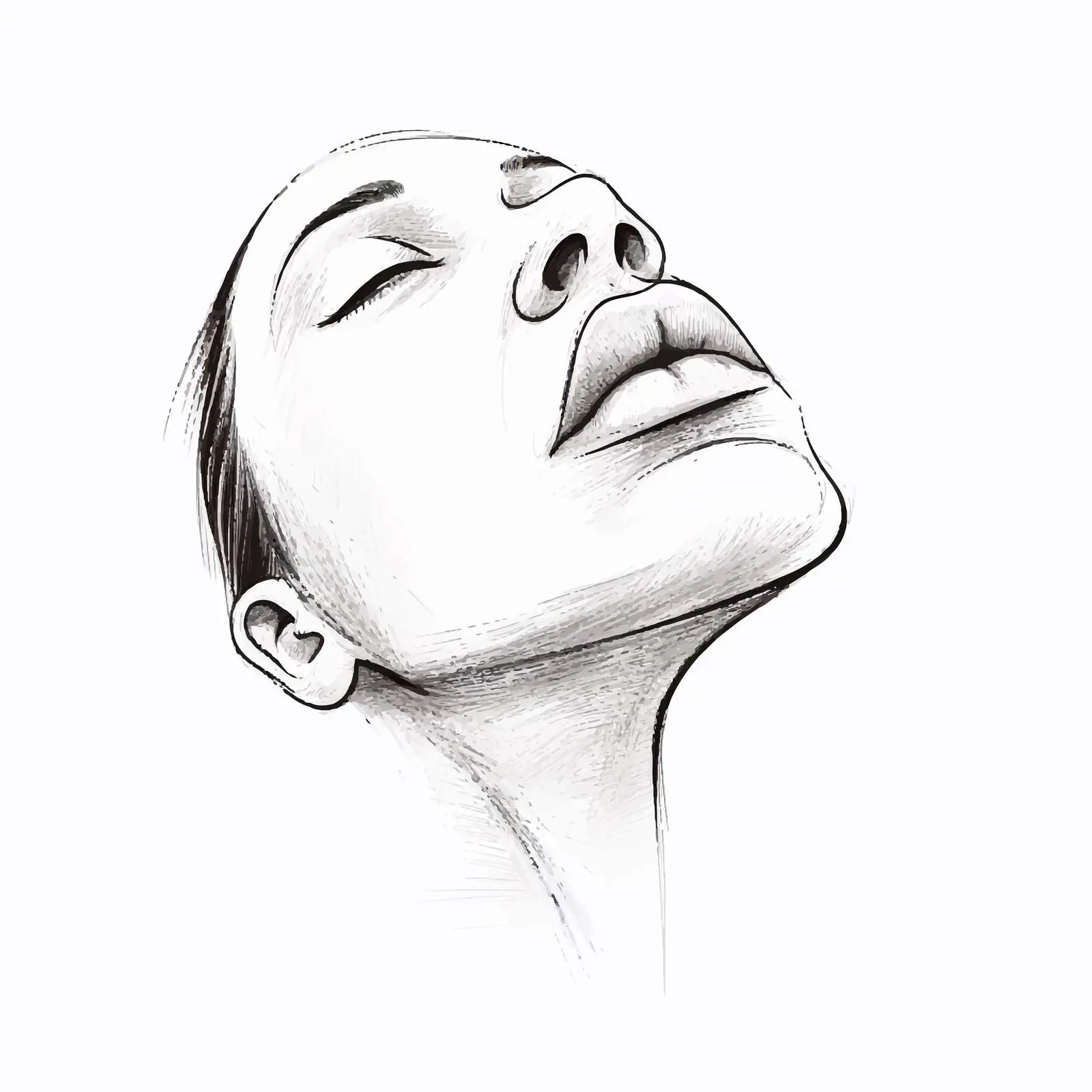 Cartoon Vector Illustration of Human Nose Sketch — free download from Dotvec