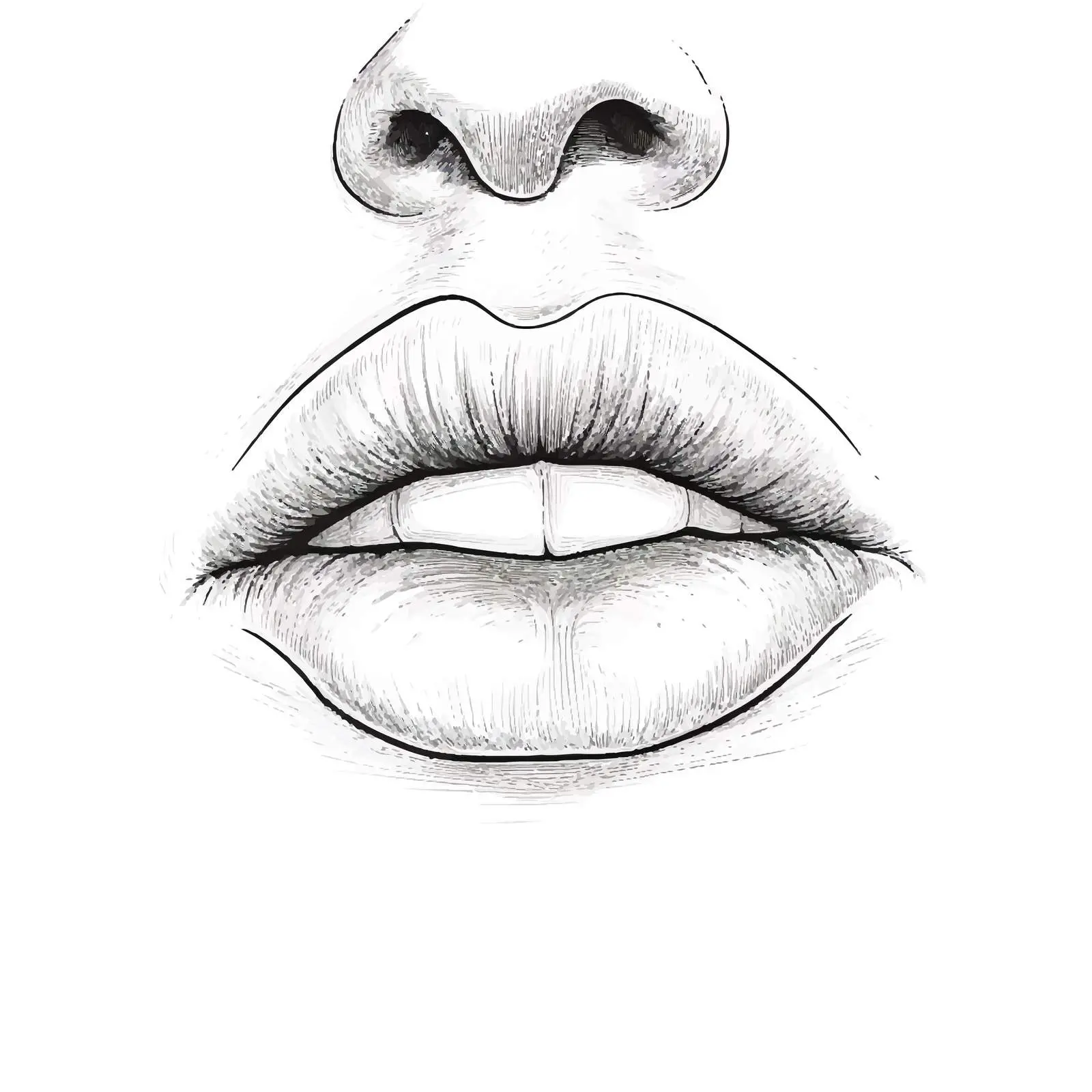 Cartoon Human Nose Vector Sketch Illustration — free download from Dotvec
