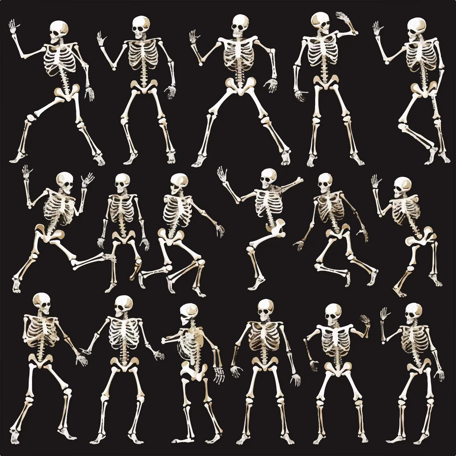 Human Skeleton Clip Art Set in Various Poses — free download from Dotvec