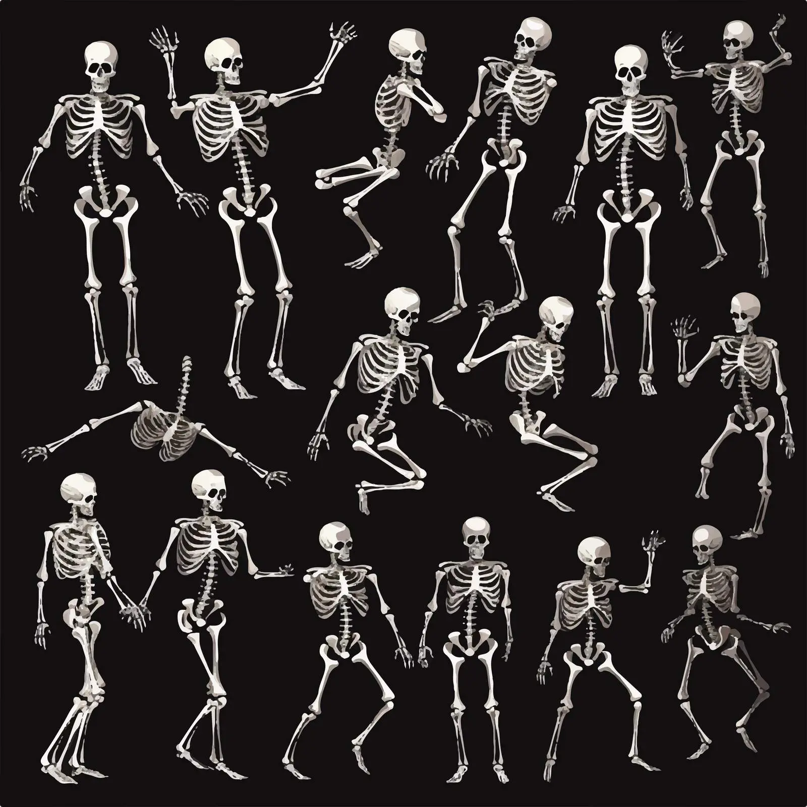 Human Skeleton Clip Art in Various Poses – free artistic skeleton image from Dotvec