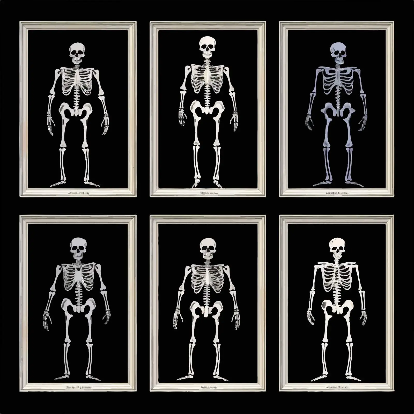 Human Skeleton Clip Art on Black Background — free download from Dotvec