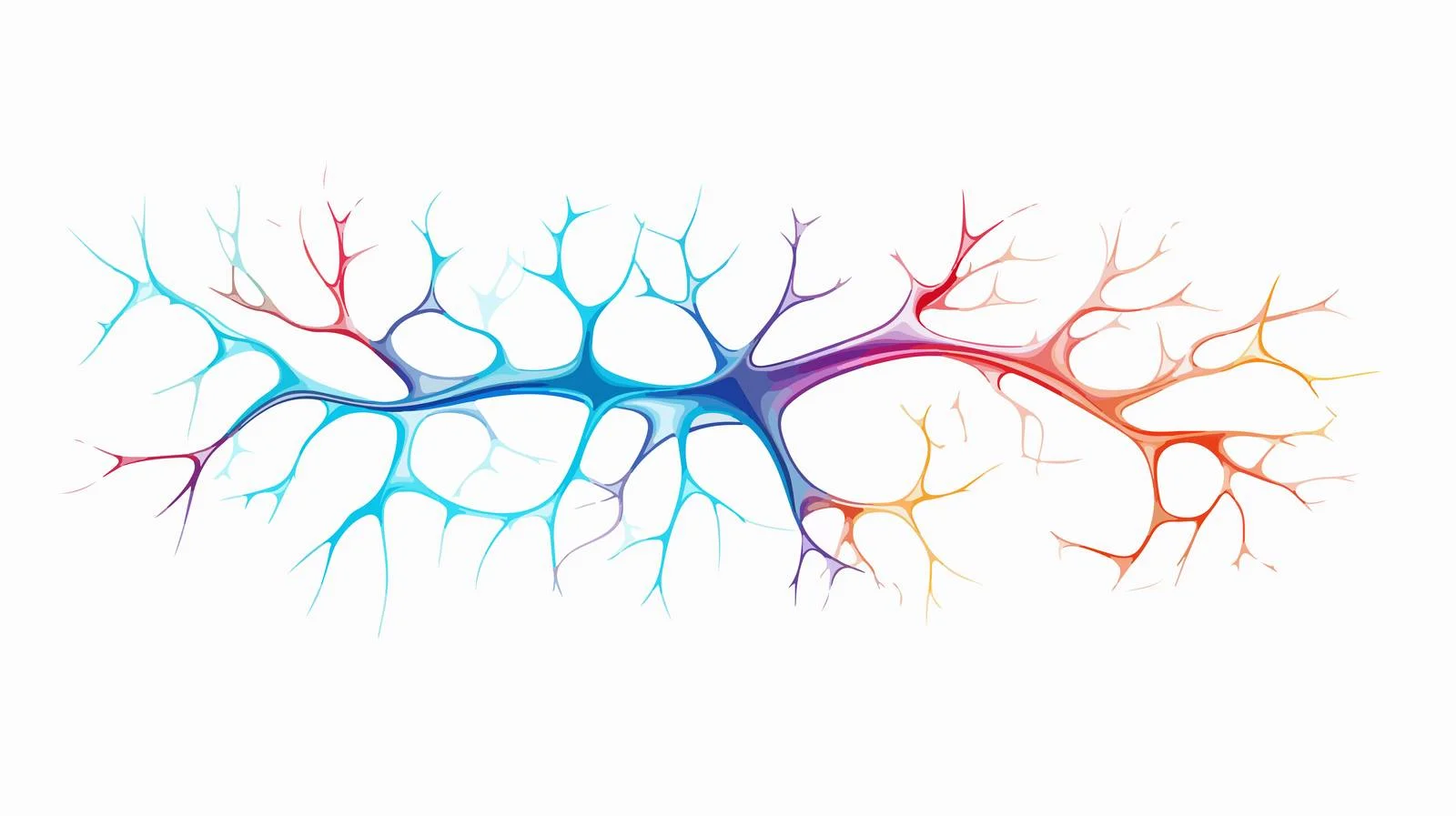 Human Sensory Neuron Model for Biology — free download from Dotvec