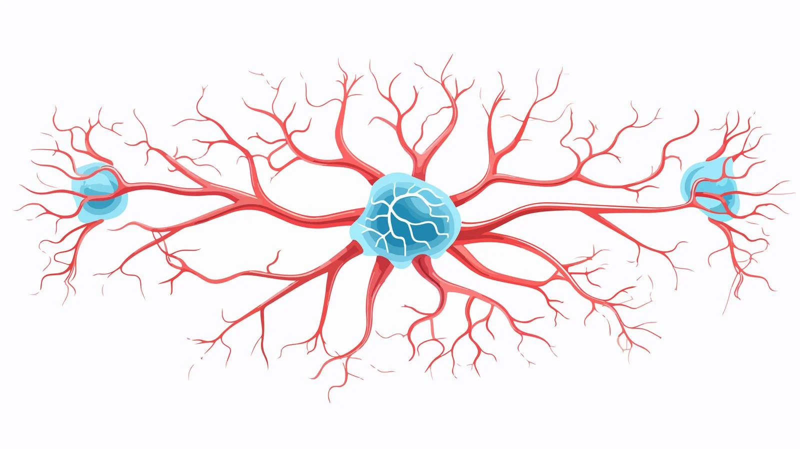 Human Sensory Neuron Model for Biology — free download from Dotvec