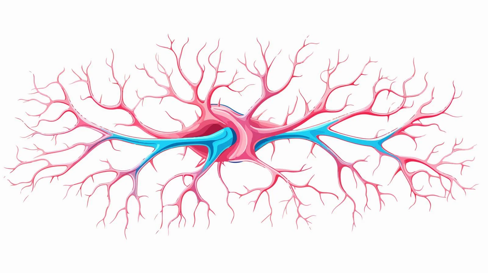 Human Sensory Neuron Model for Biology — free download from Dotvec