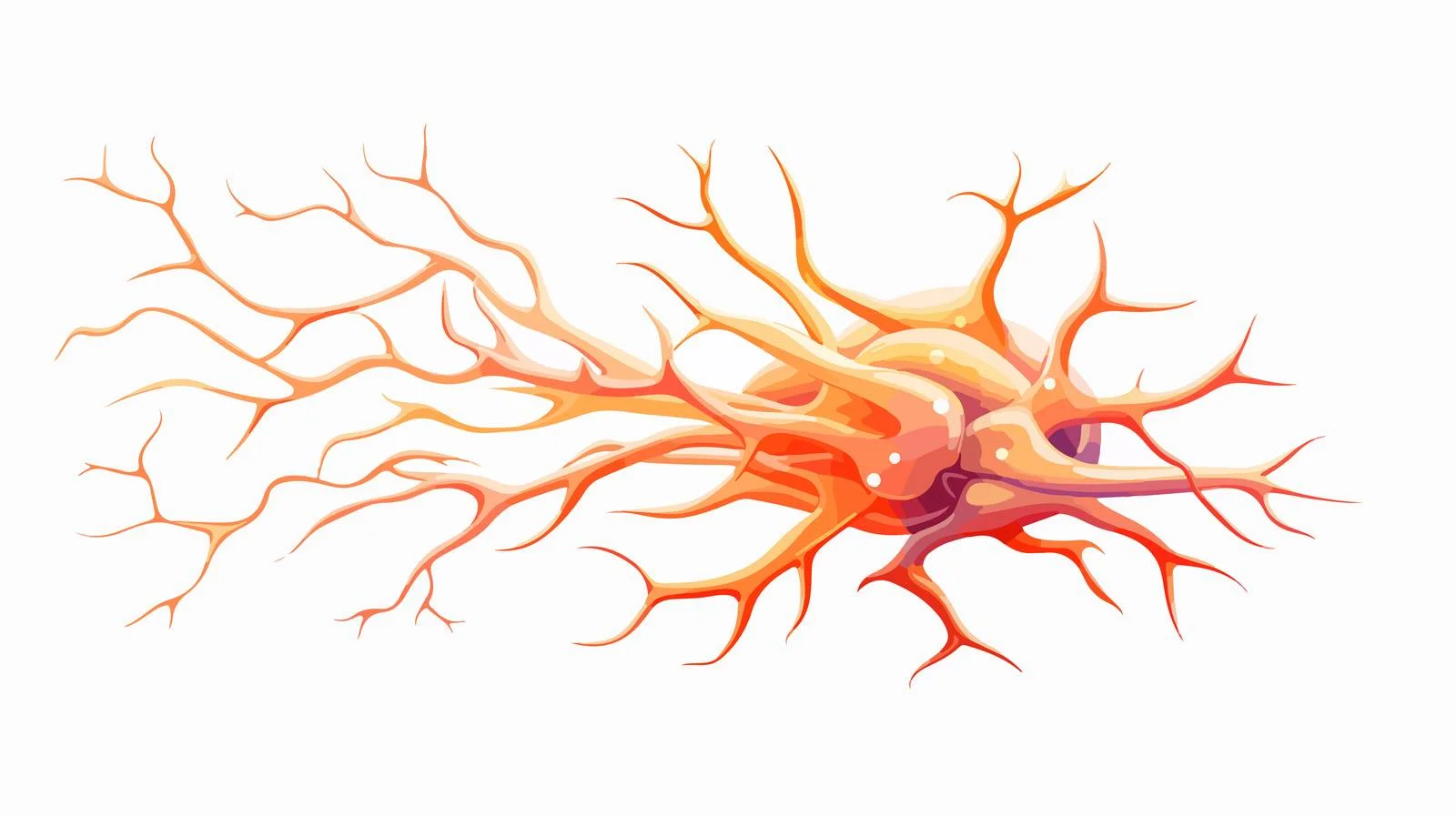 Sensory Neuron Biology Model — free download from Dotvec