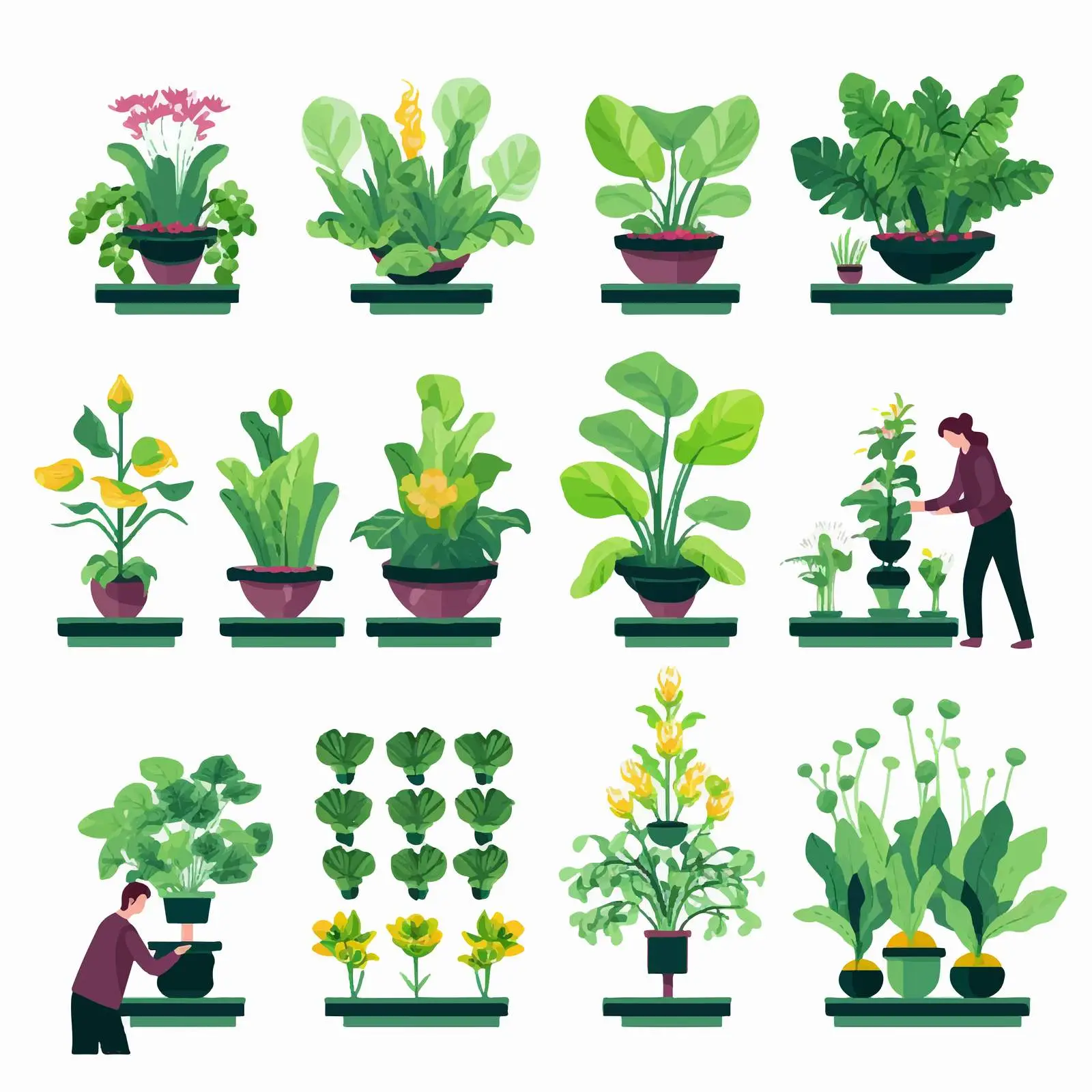 Hydroponic System Gardening Technology Vectors — free download from Dotvec