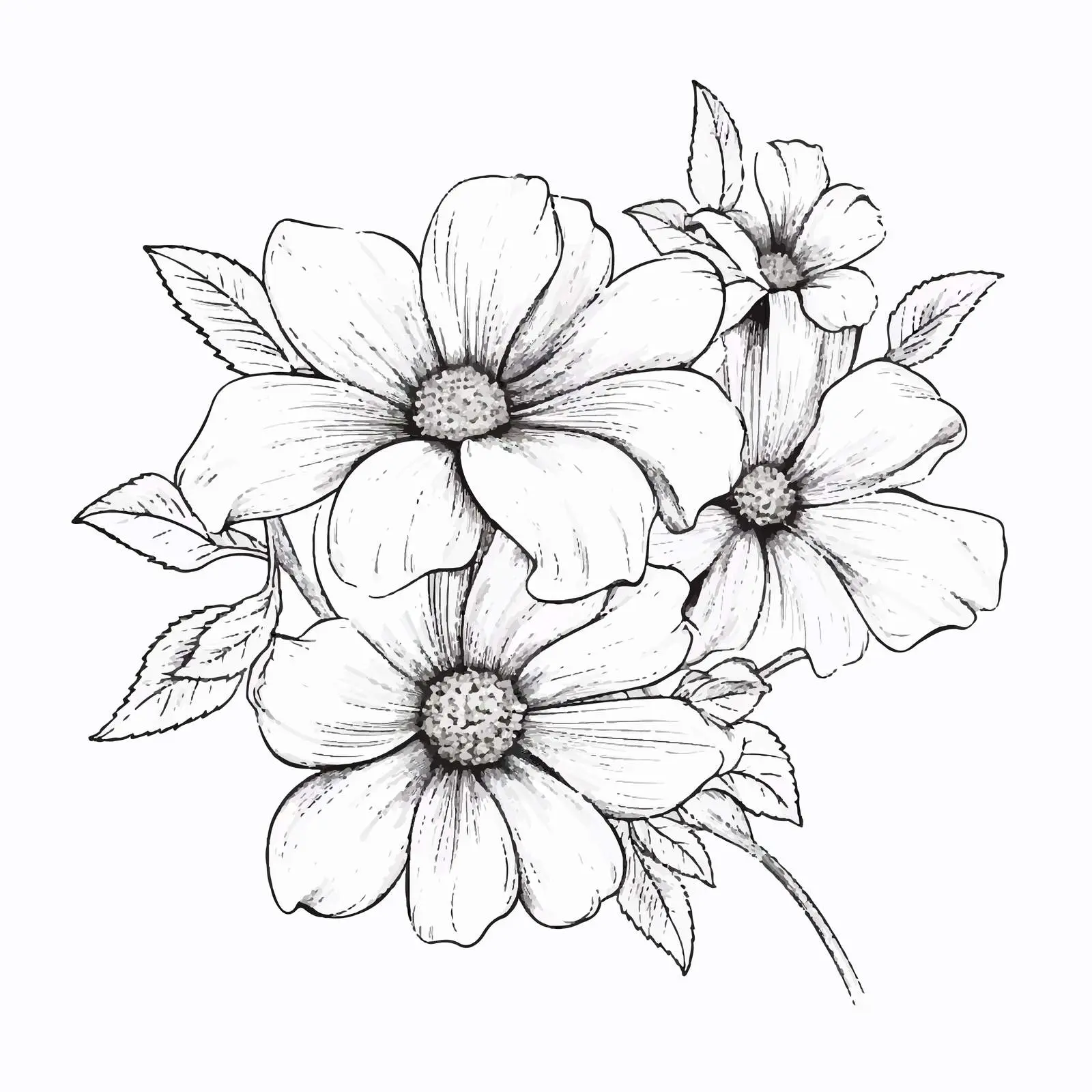 Elegant Flower Sketch Illustration on White Background — free download from Dotvec