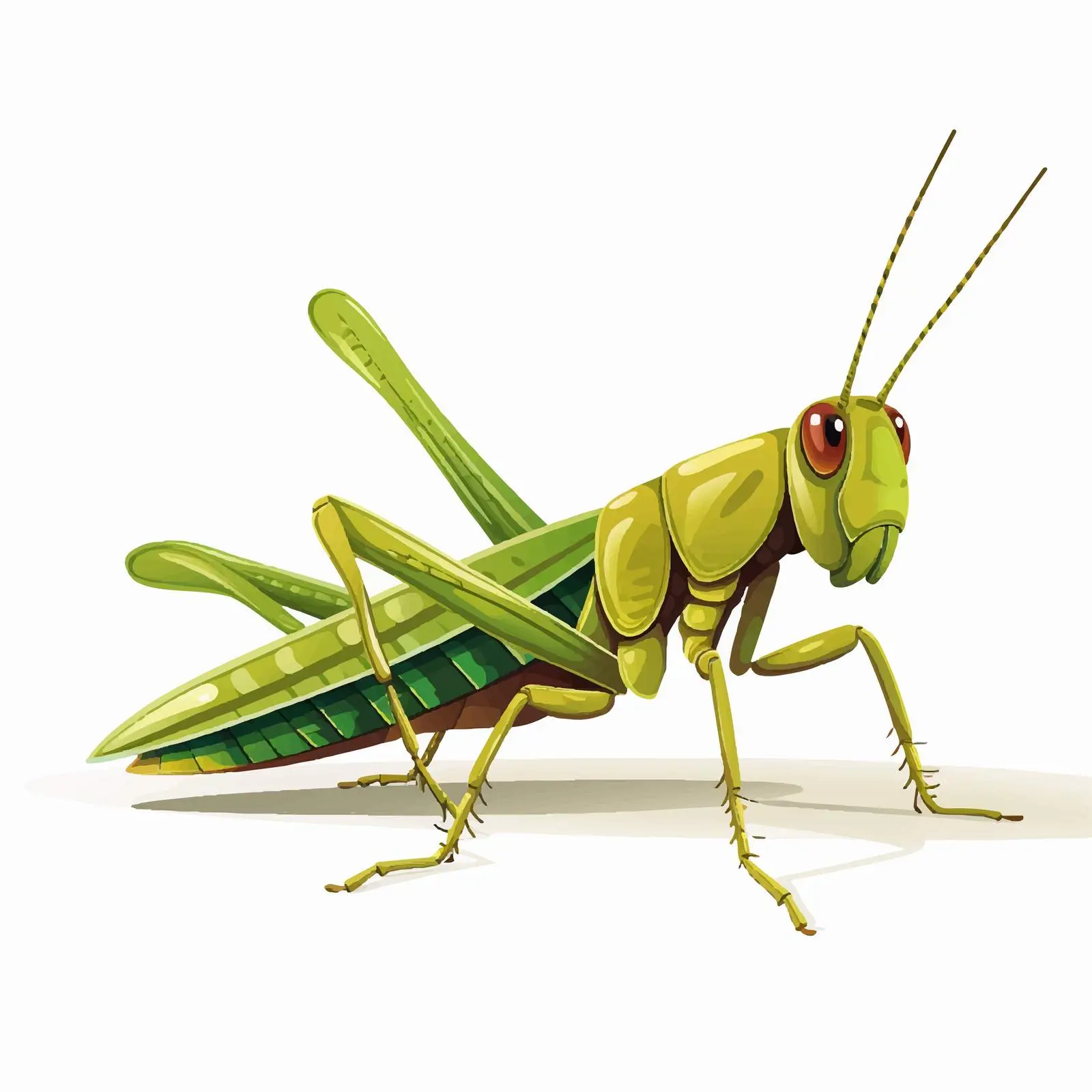Grasshopper Vector Illustration on White Background — free download from Dotvec