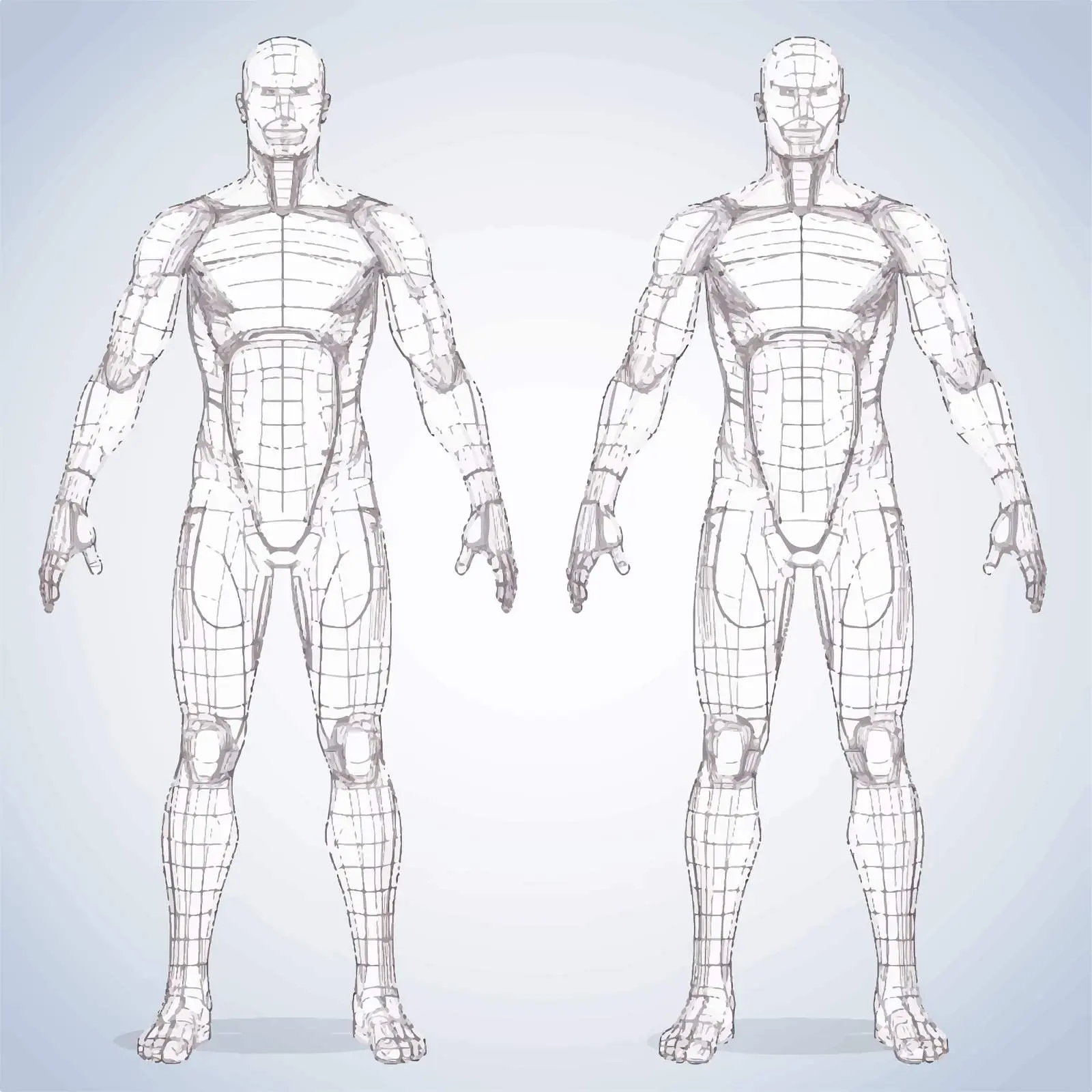 Plain Human Body Outline Vector Illustration – free biological structure image from Dotvec