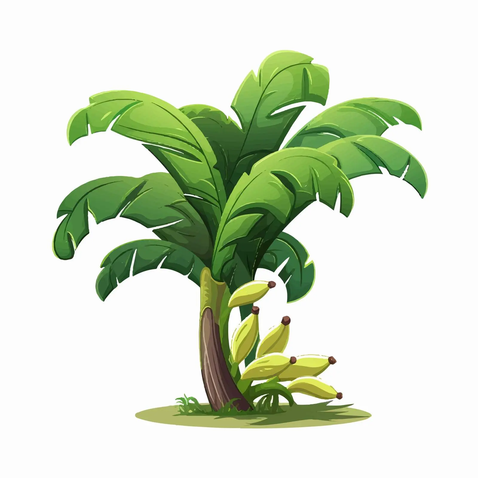 Banana Tree Vector Illustration on White Background — free download from Dotvec