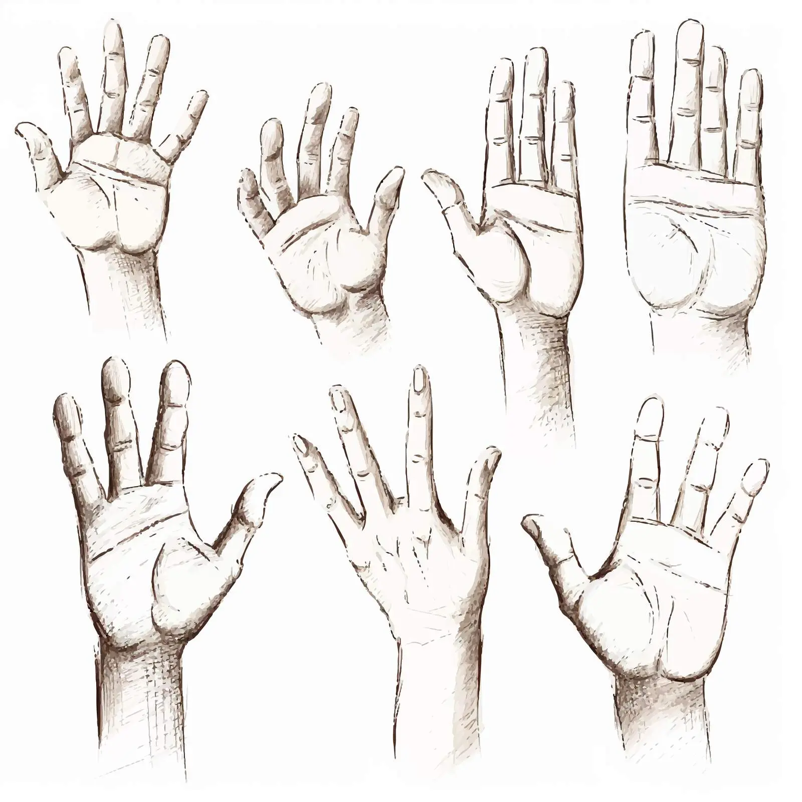 Hand Sketch Illustrations on White Background — free download from Dotvec