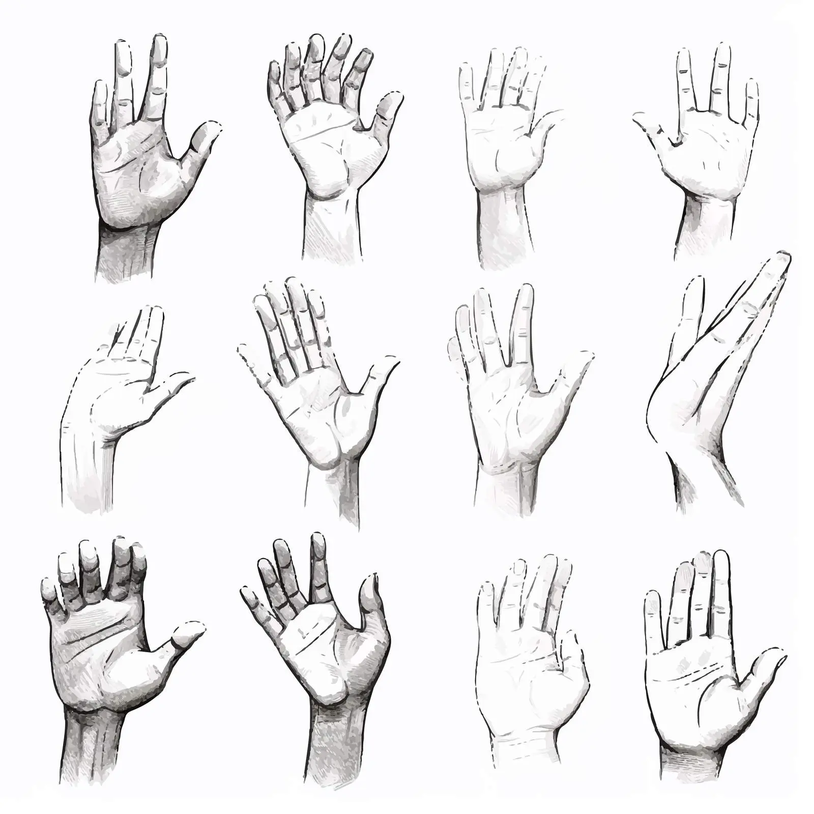 Hand Sketch Illustrations on White Background — free download from Dotvec