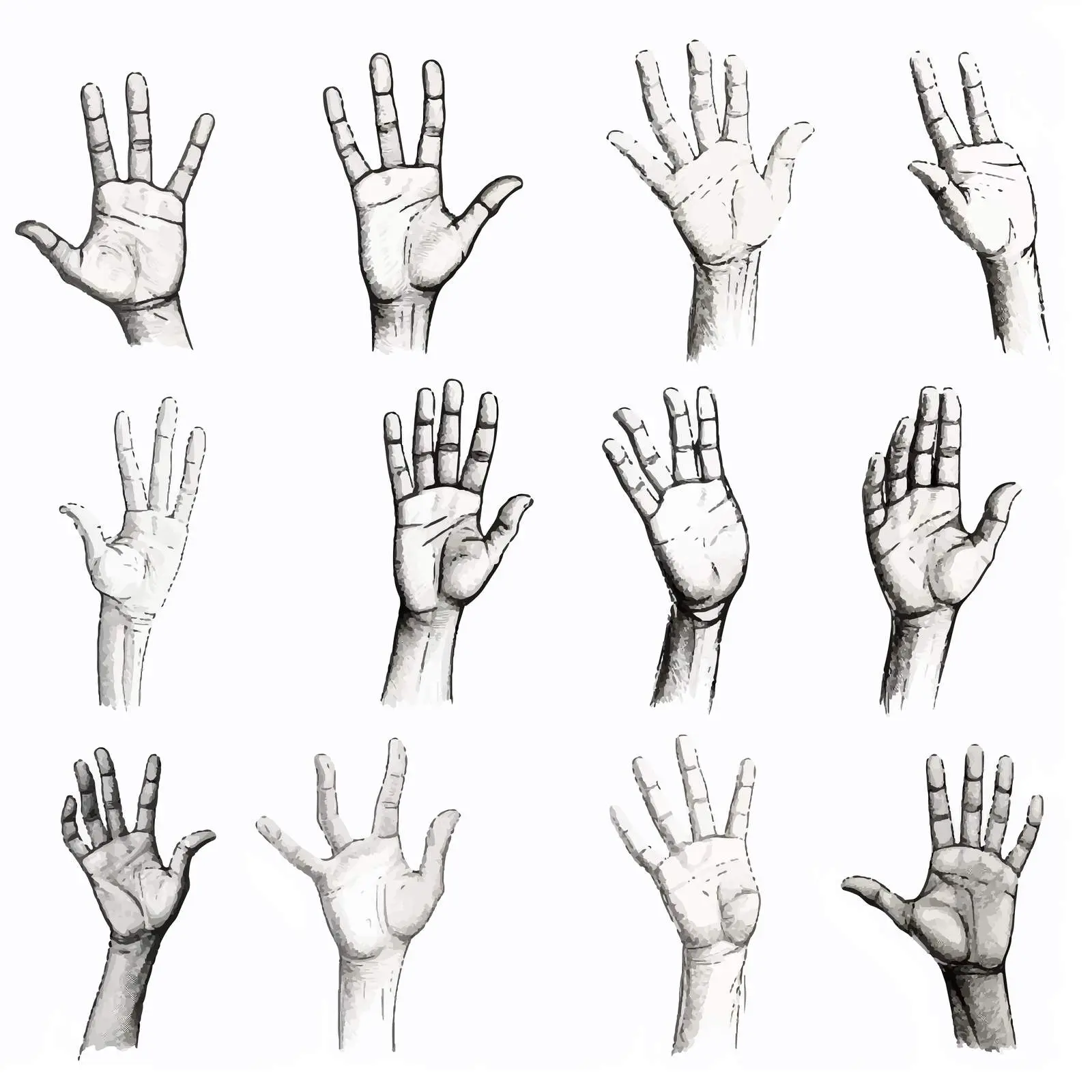 Hand Sketch Illustrations on White Background — free download from Dotvec
