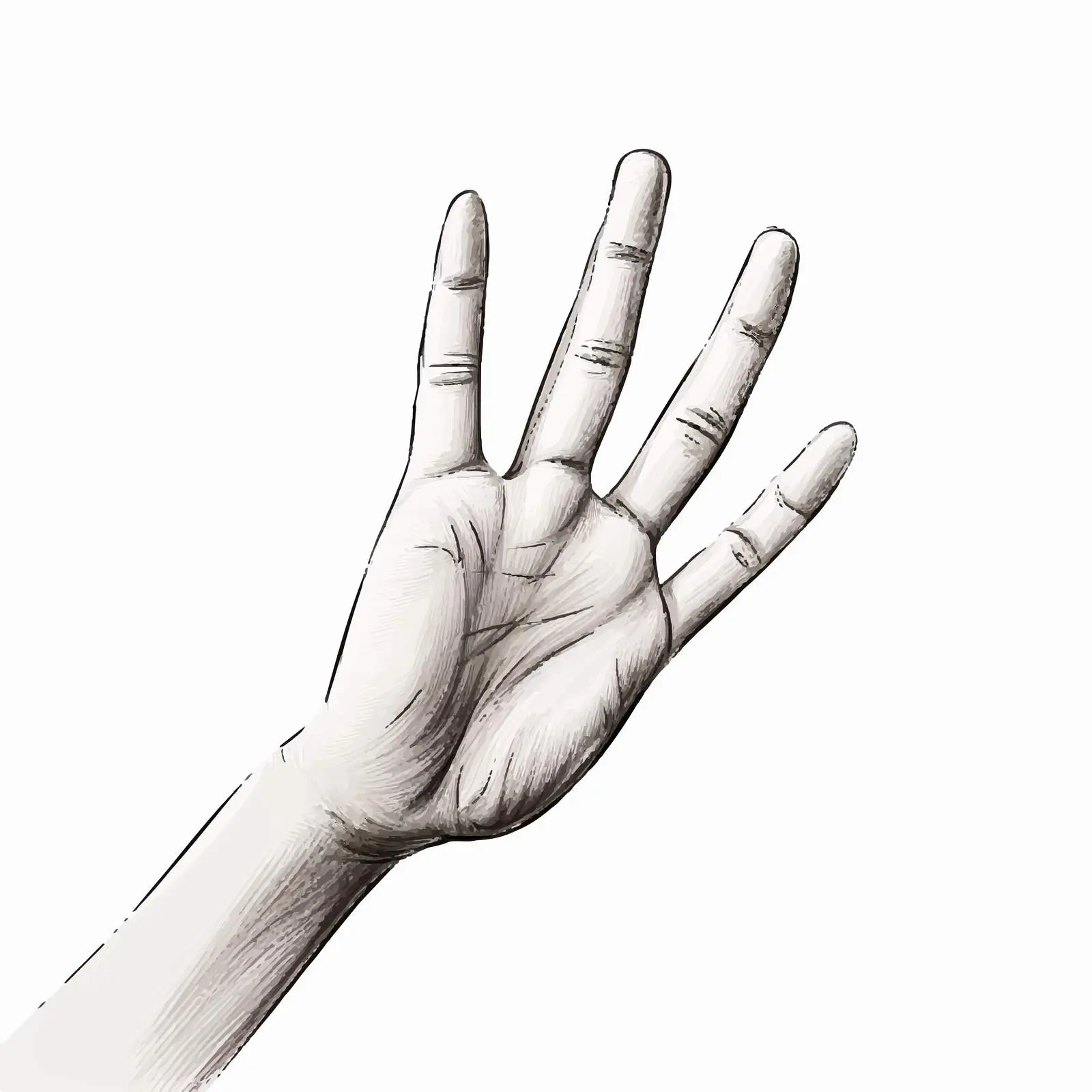 Hand Sketch Illustrations on White Background — free download from Dotvec
