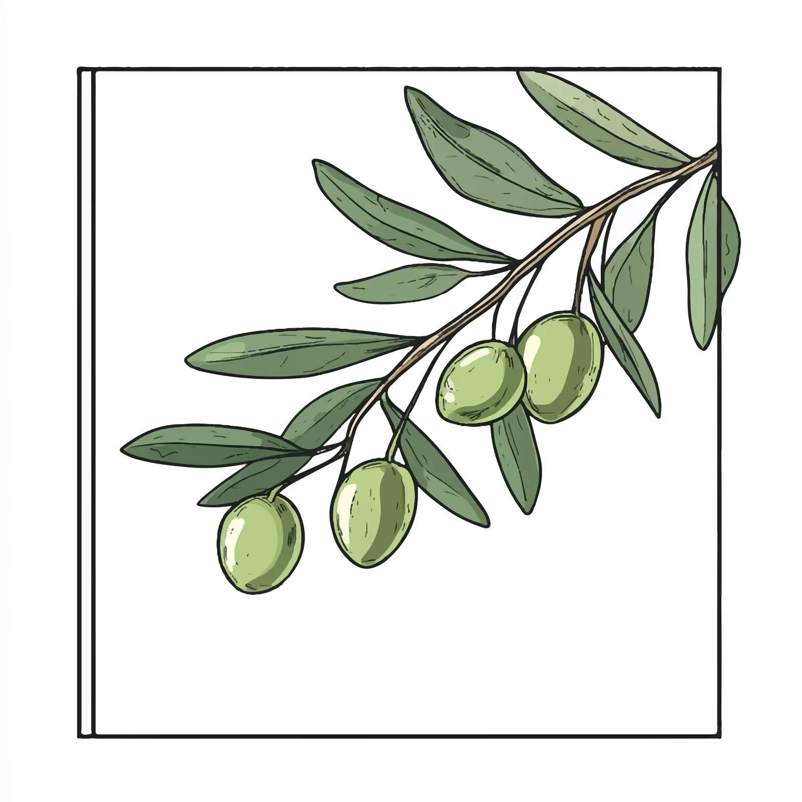 Olives on Branch with Leaves - Isolated Illustration — free download from Dotvec