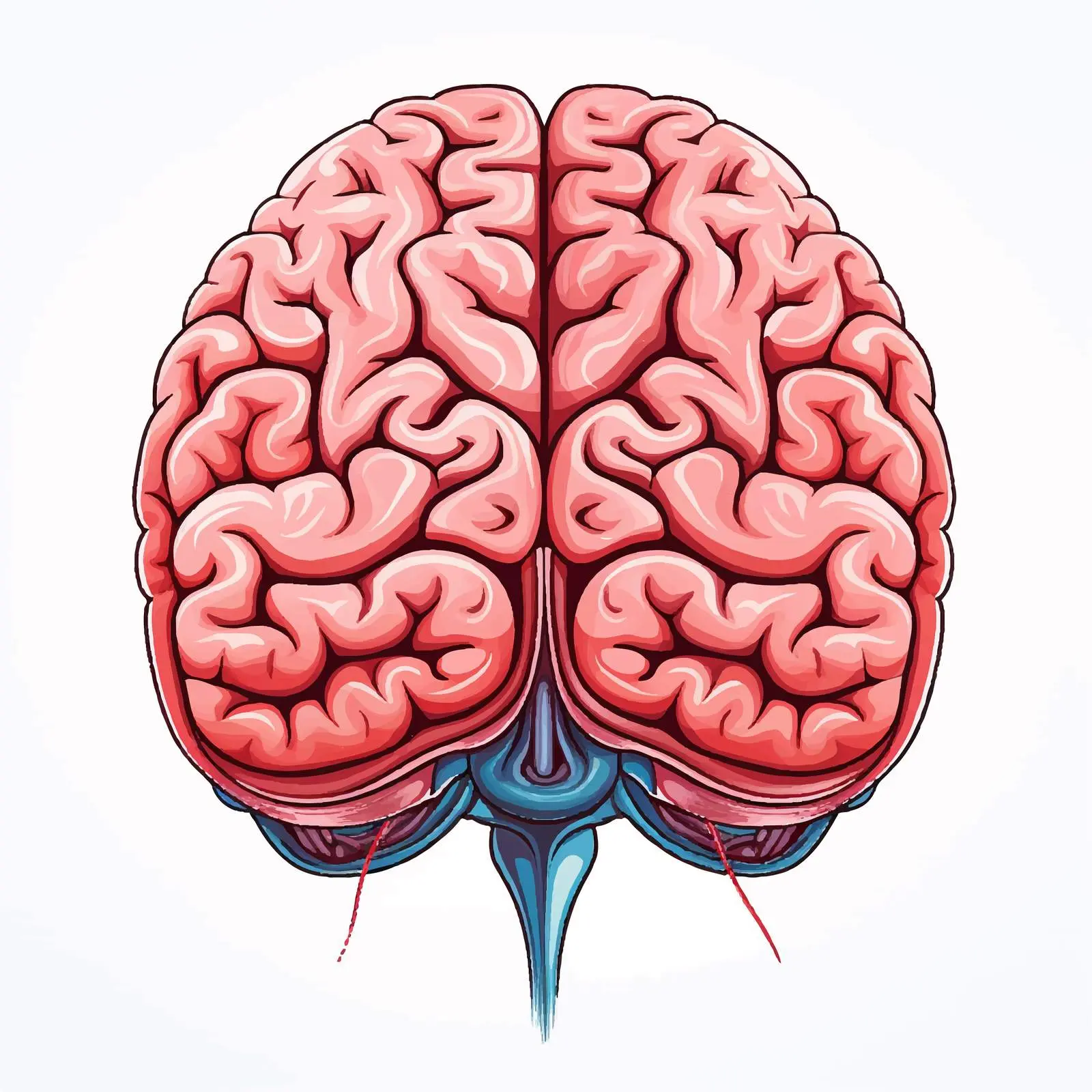 Illustration of Brain Parts in Cartoon Style — free download from Dotvec