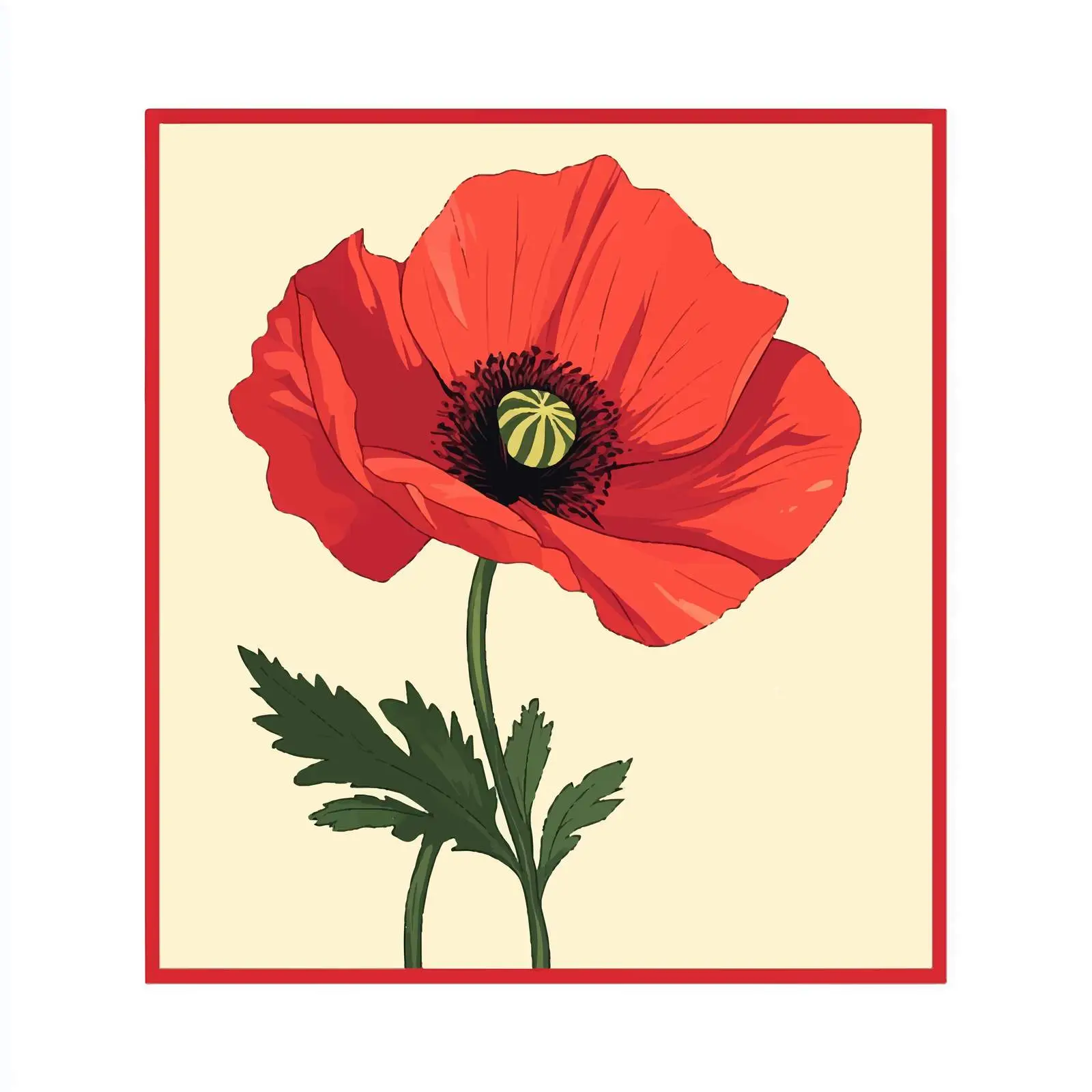 Isolated Flat Vector Illustration of Poppy Flower — free download from Dotvec