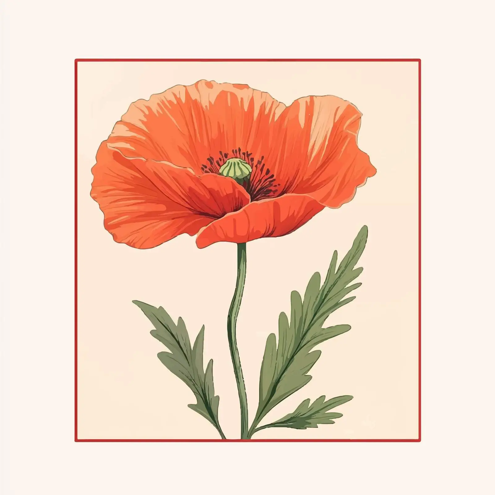 Flat Vector Illustration of Poppy Flower — free download from Dotvec