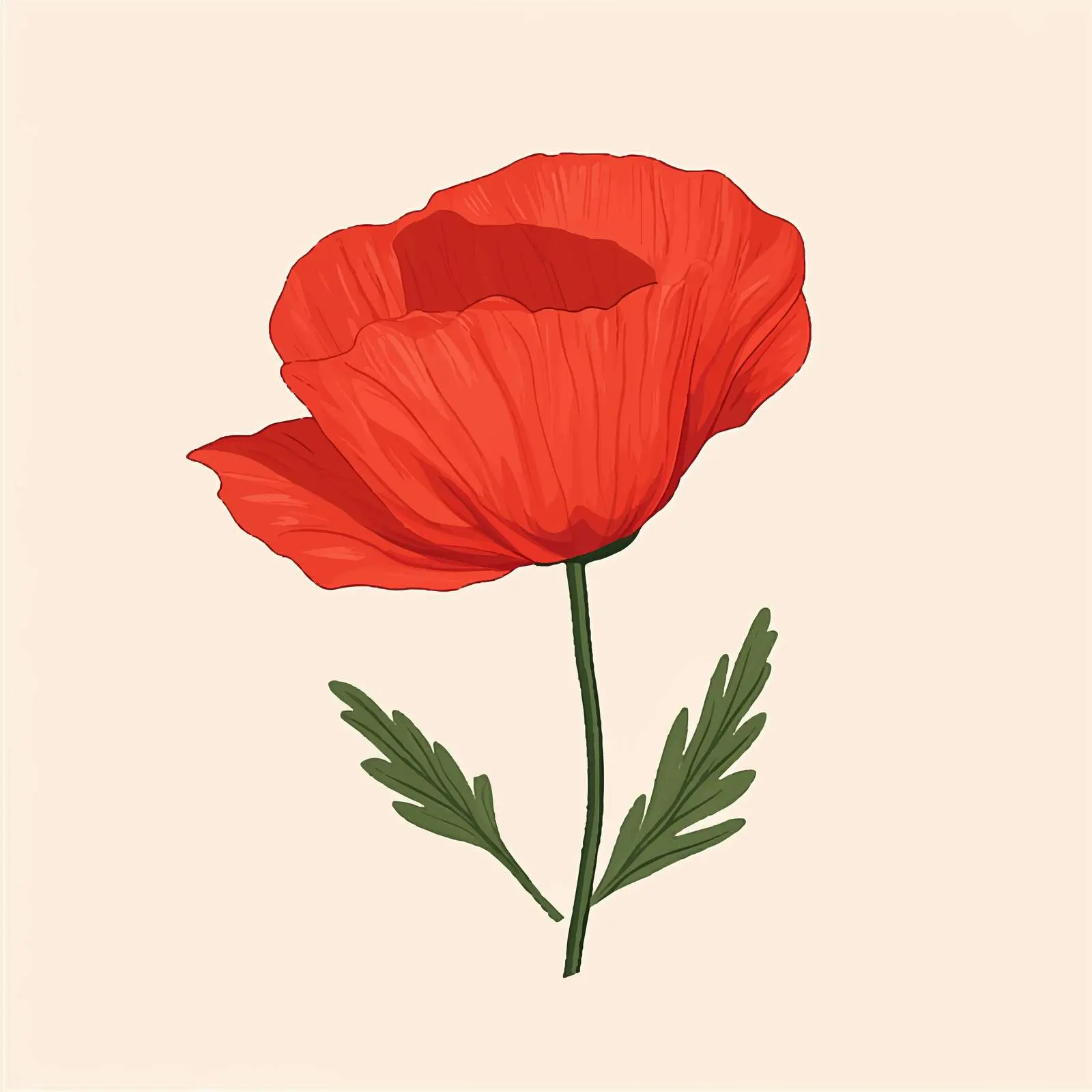 Isolated Flat Vector Illustration of Poppy Flower — free download from Dotvec