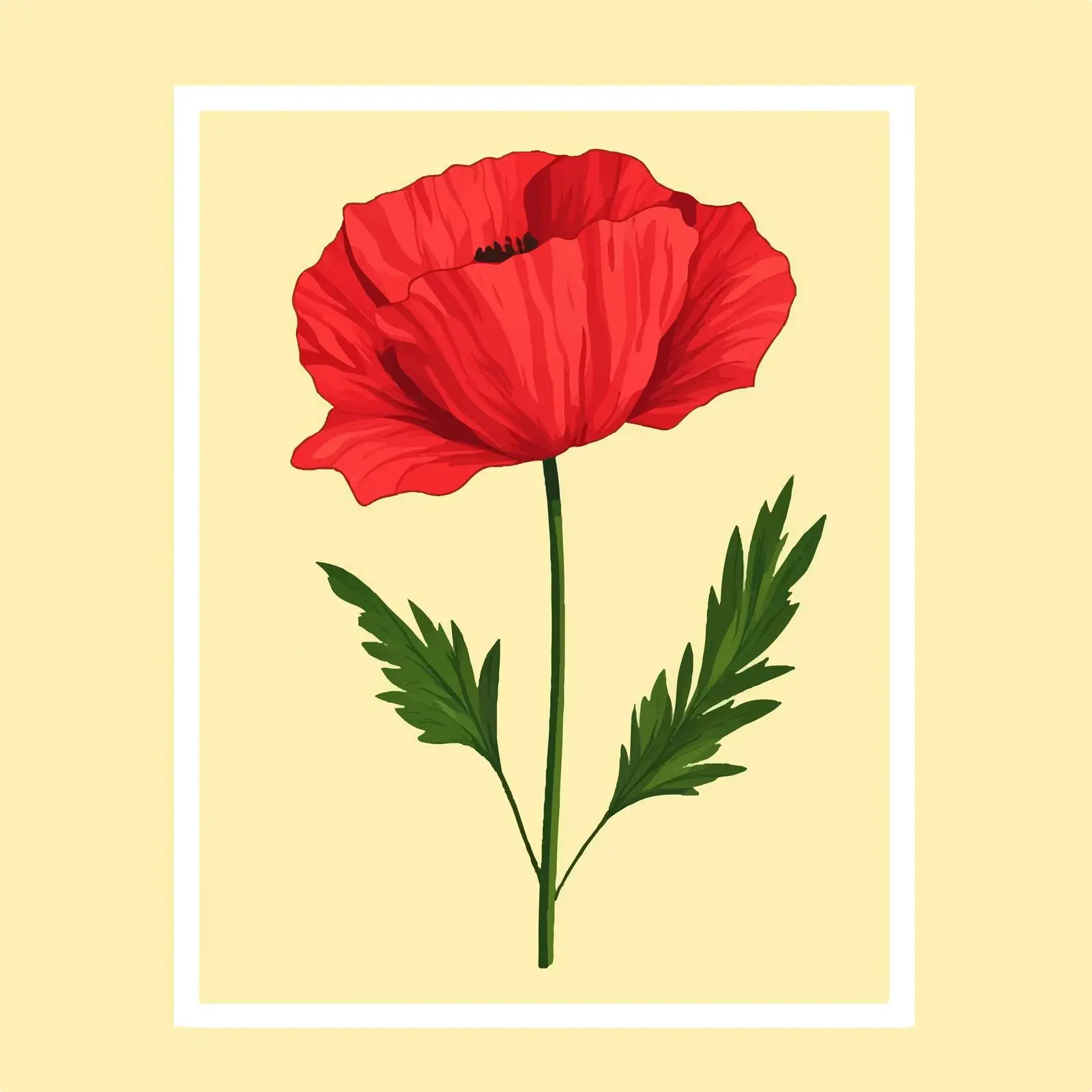 Isolated Flat Vector Illustration of Poppy Flower — free download from Dotvec