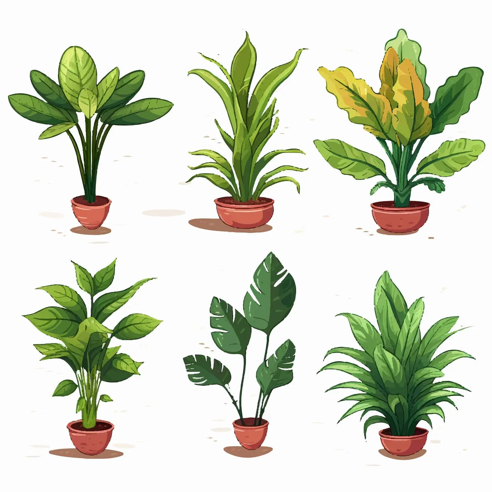 Six Non-Flowering Plants Illustration — free download from Dotvec