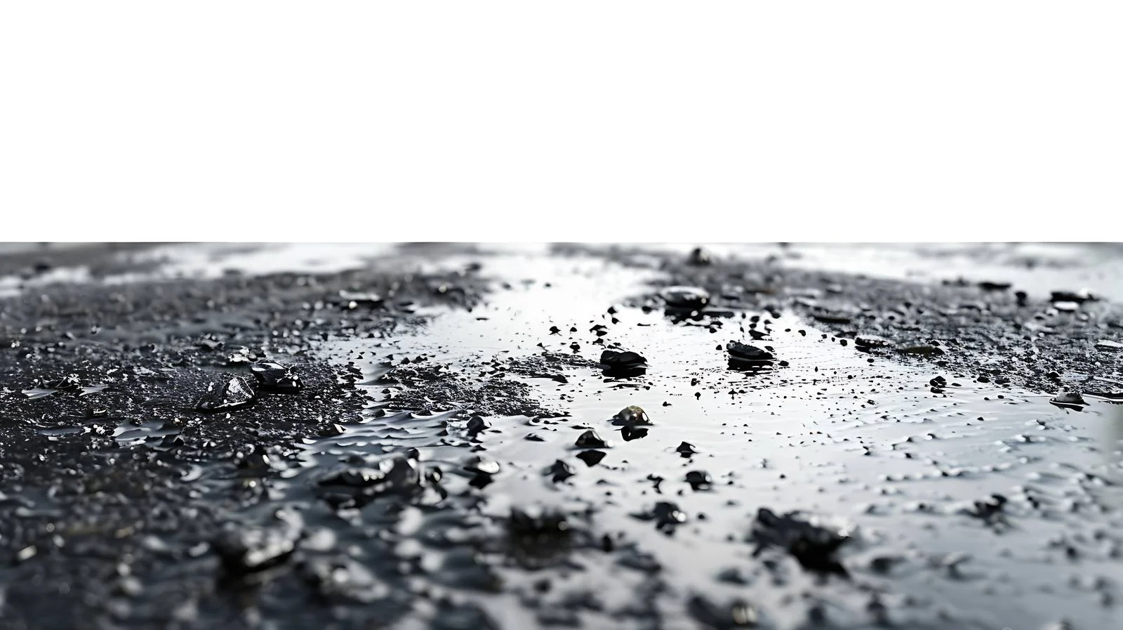 Wet Road with Oil Stain on Asphalt — free download from Dotvec