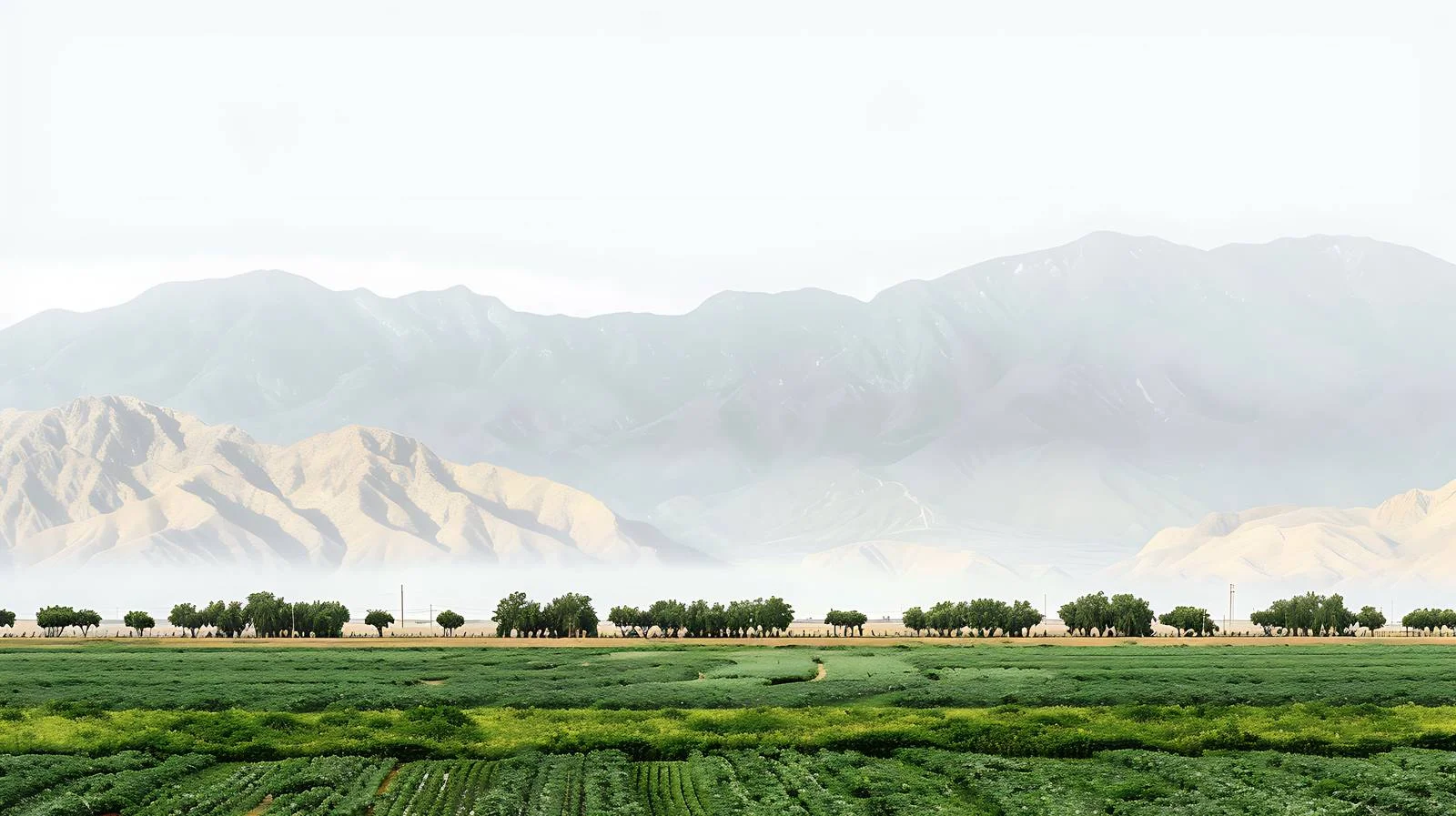 Historic Imperial Valley Irrigation District — free download from Dotvec