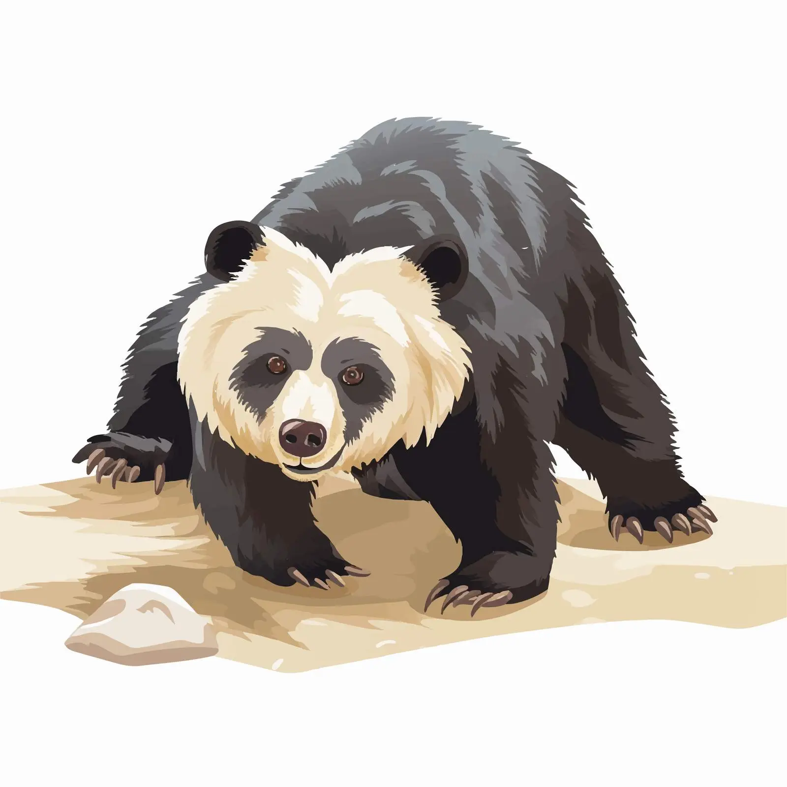 Indian Sloth Bear on All Fours — free download from Dotvec