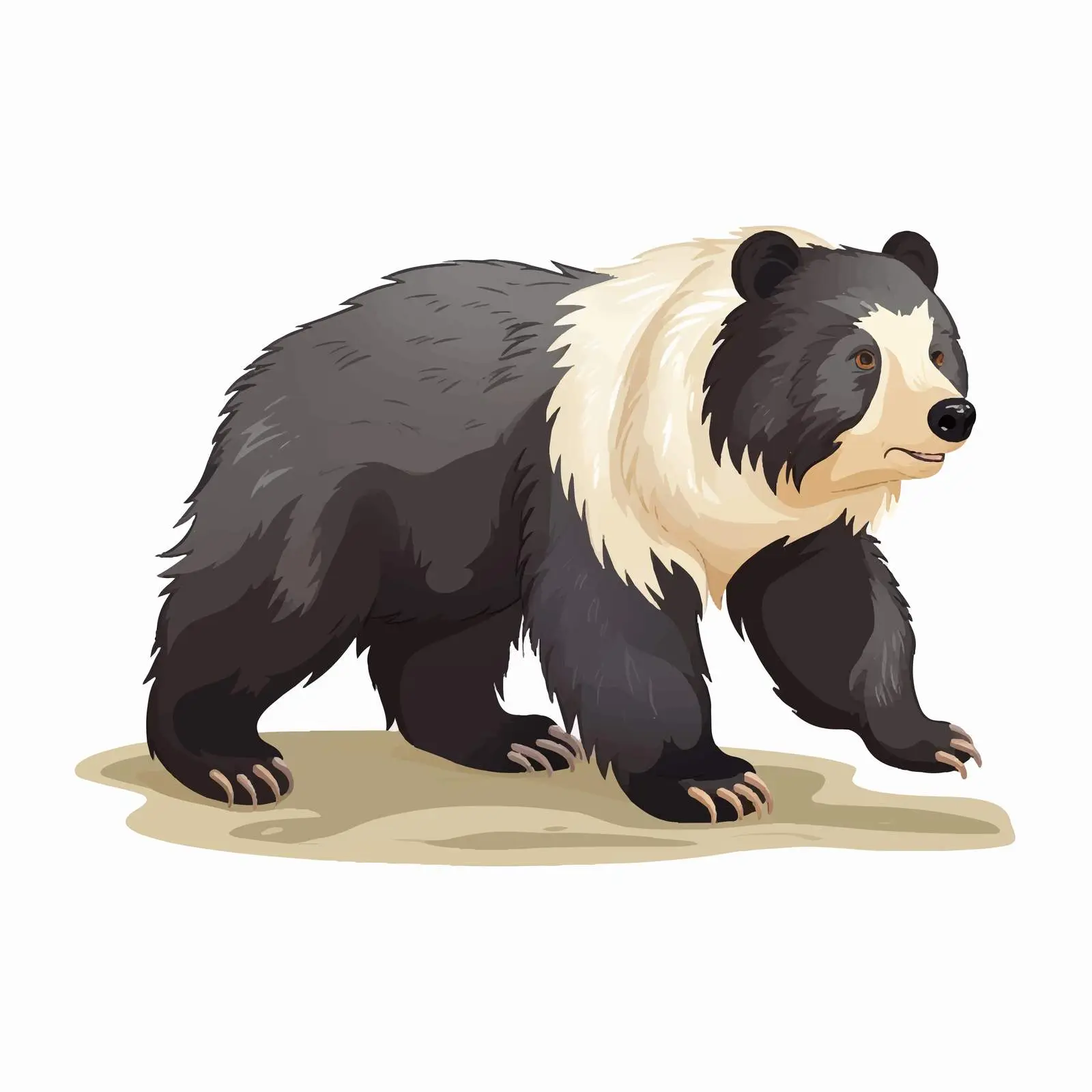 Sloth Bear Walking on All Fours — free download from Dotvec