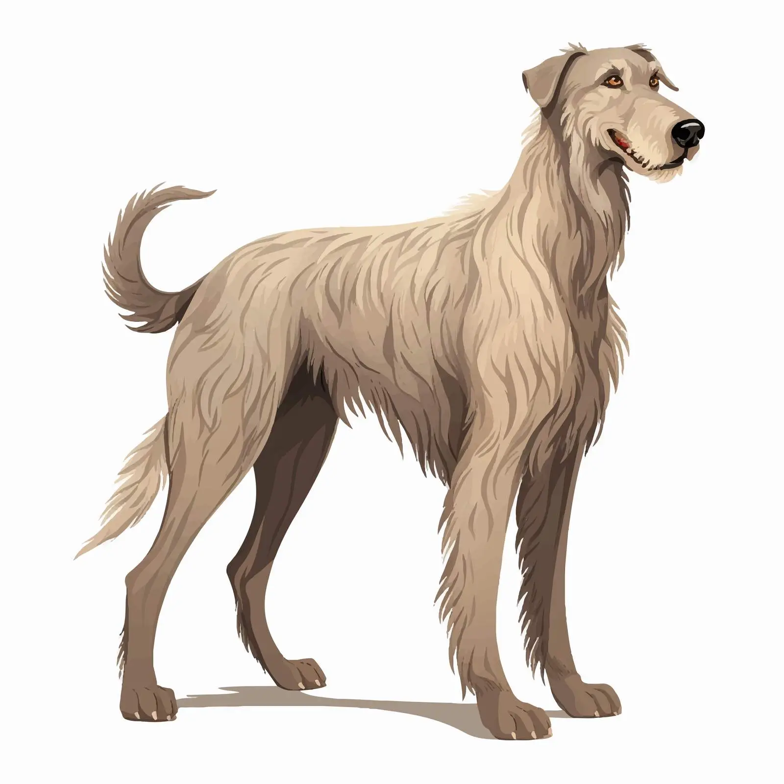 Irish Wolfhound - Guard and Hunting Dog — free download from Dotvec