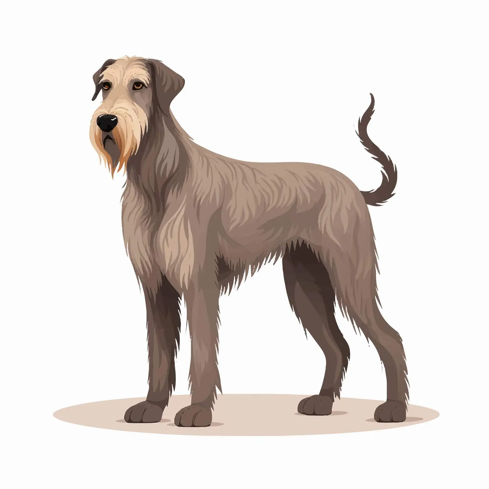 Irish Wolfhound Guard and Hunting Dog Vector — free download from Dotvec